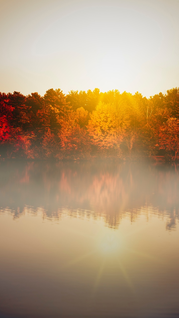 Morgen, Wasser, Tageszeit, Herbst, Reflexion. Wallpaper in 720x1280 Resolution