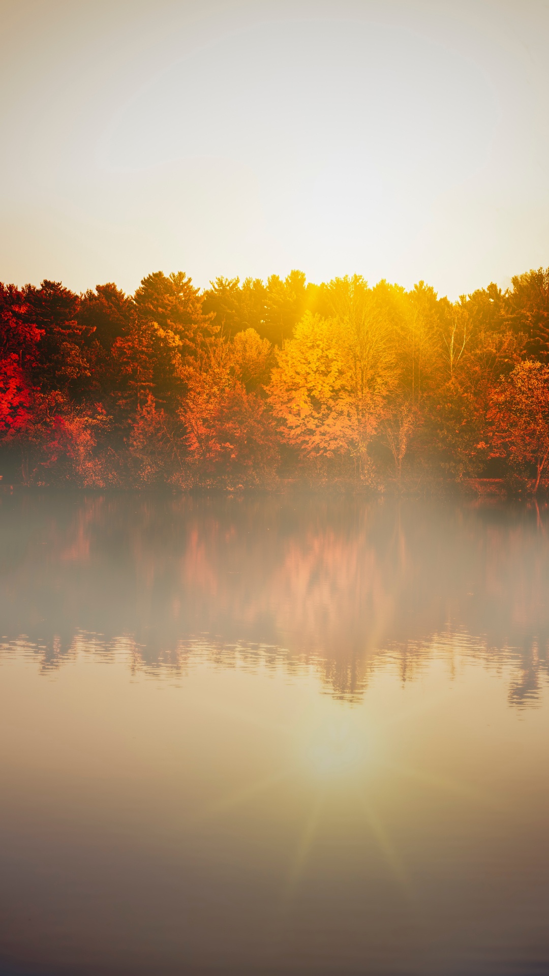 Morning, Water, Daytime, Autumn, Reflection. Wallpaper in 1080x1920 Resolution