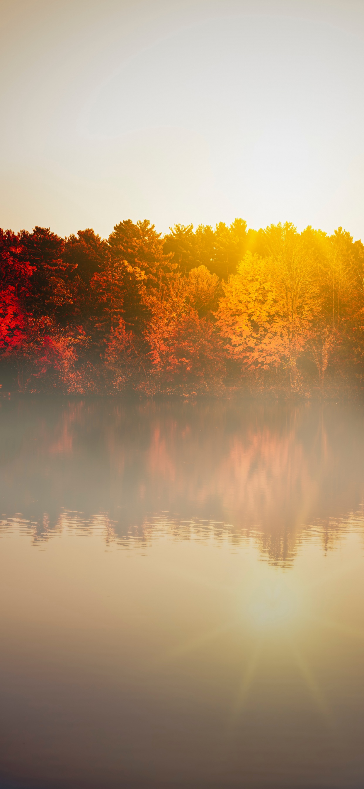 Morning, Water, Daytime, Autumn, Reflection. Wallpaper in 1242x2688 Resolution