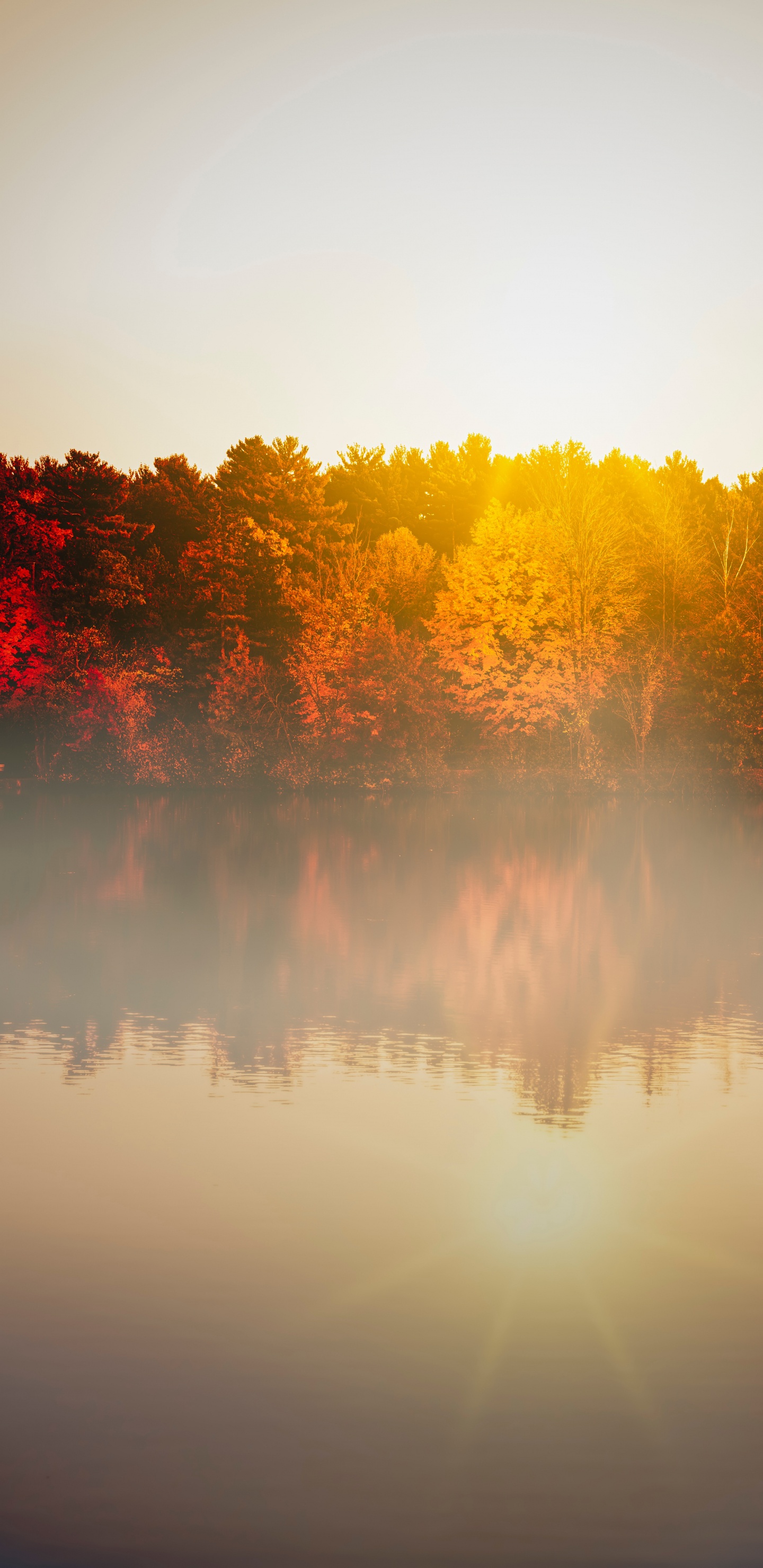 Morning, Water, Daytime, Autumn, Reflection. Wallpaper in 1440x2960 Resolution