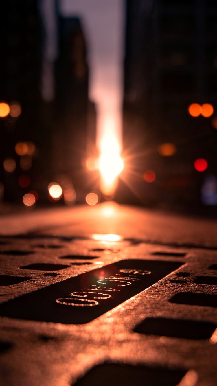 管, 琥珀色, 车灯, 沥青, 木 壁纸 750x1334 允许