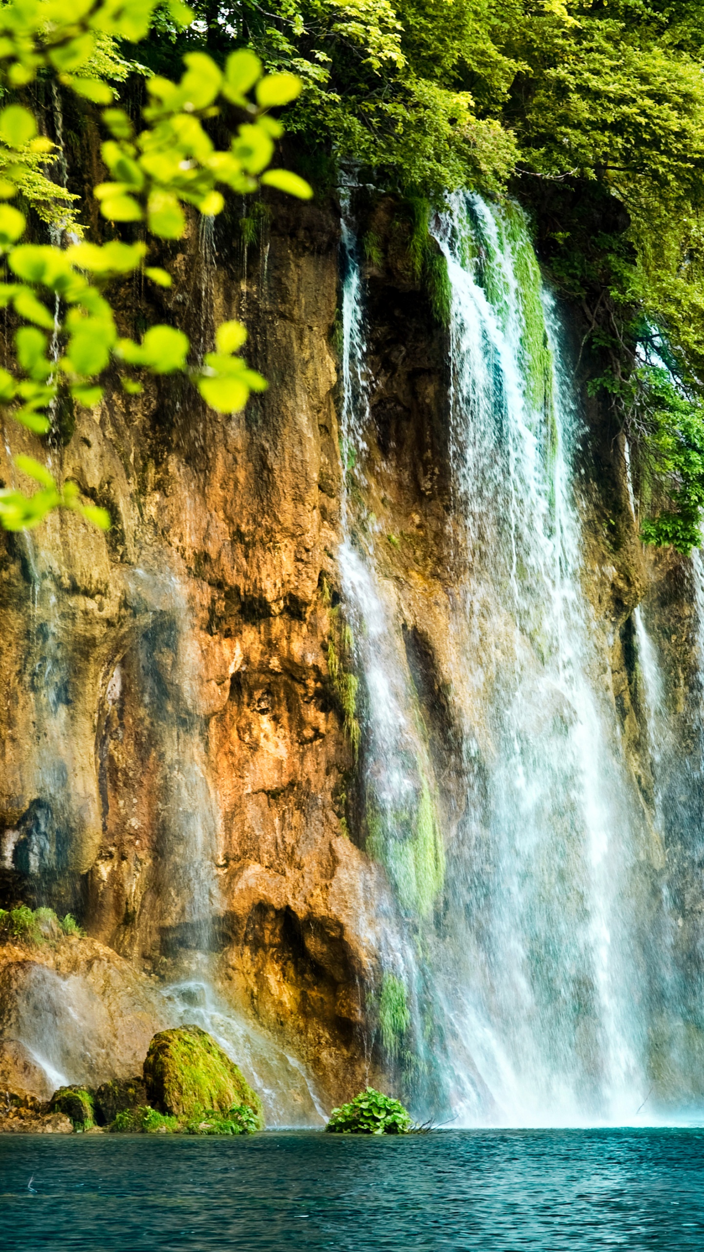 Hojas Verdes Cerca de Cascadas Durante el Día. Wallpaper in 1440x2560 Resolution