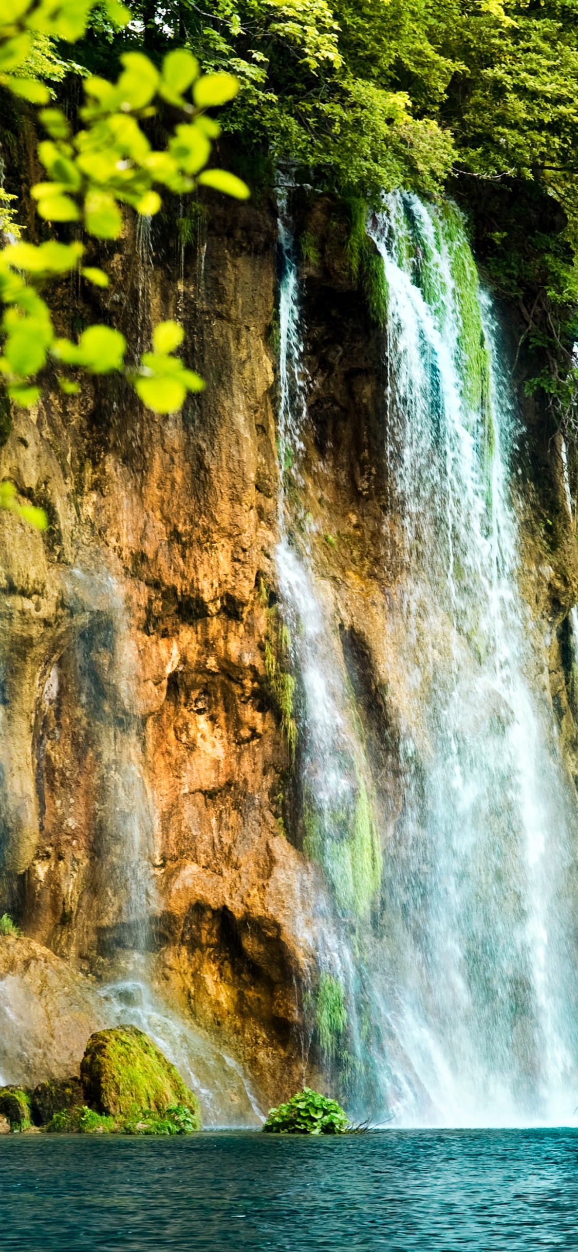 Green Leaves Near Waterfalls During Daytime. Wallpaper in 1125x2436 Resolution