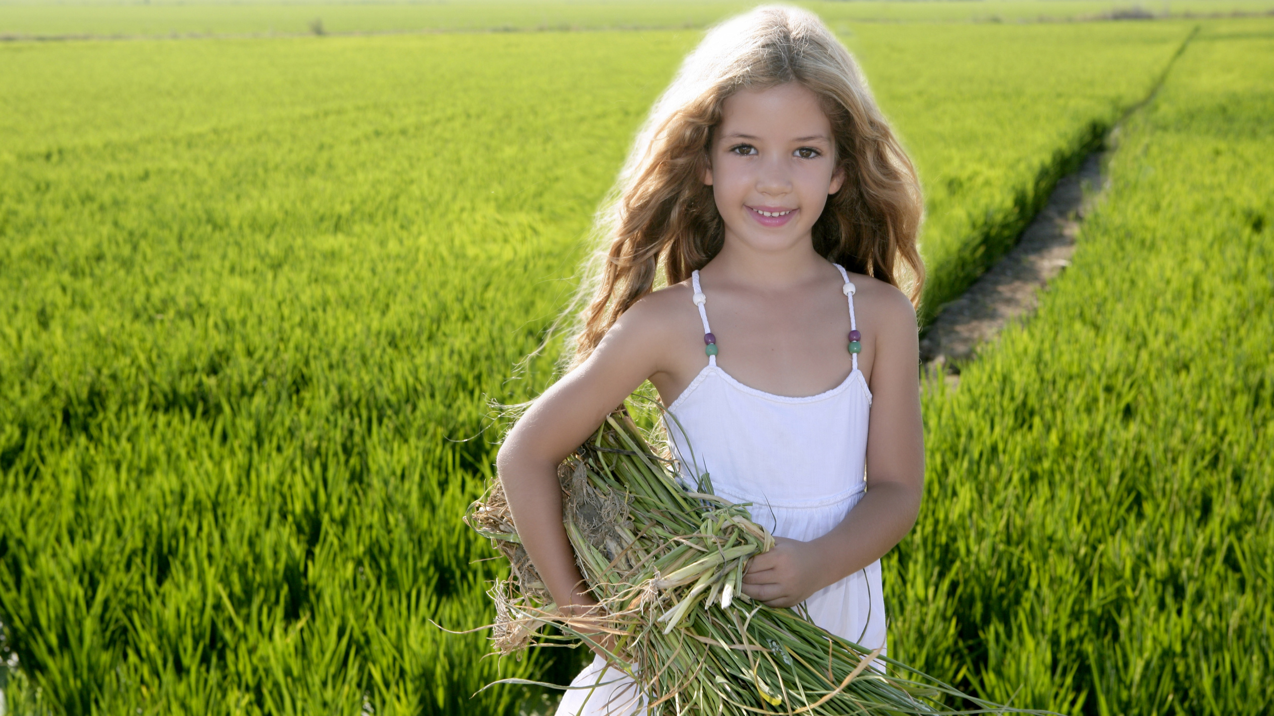 Agriculture, de la Rizière, L'herbe de la Famille, Enfant, Illustration. Wallpaper in 2560x1440 Resolution