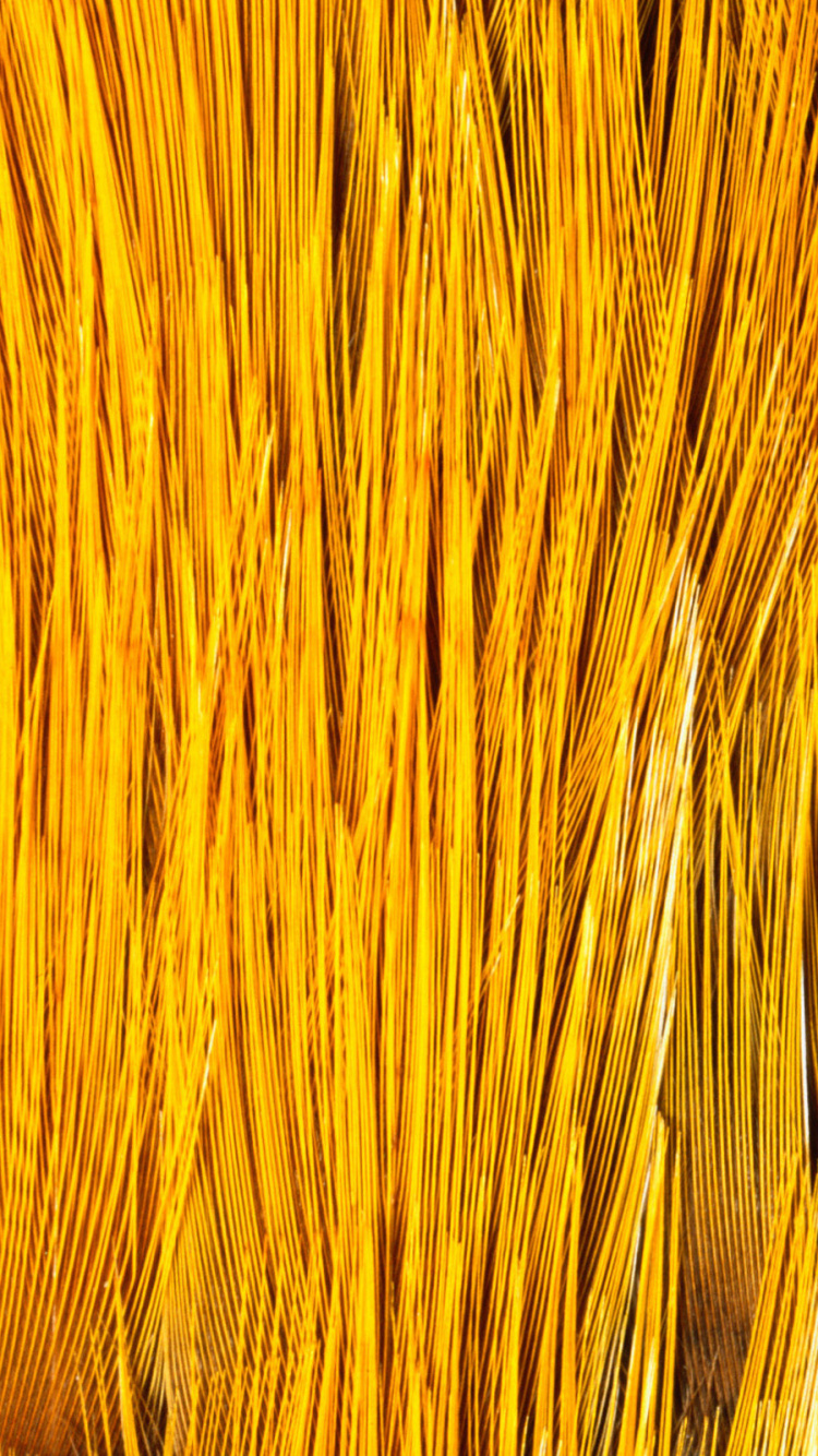 Gelbe Und Schwarze Abstrakte Malerei. Wallpaper in 750x1334 Resolution