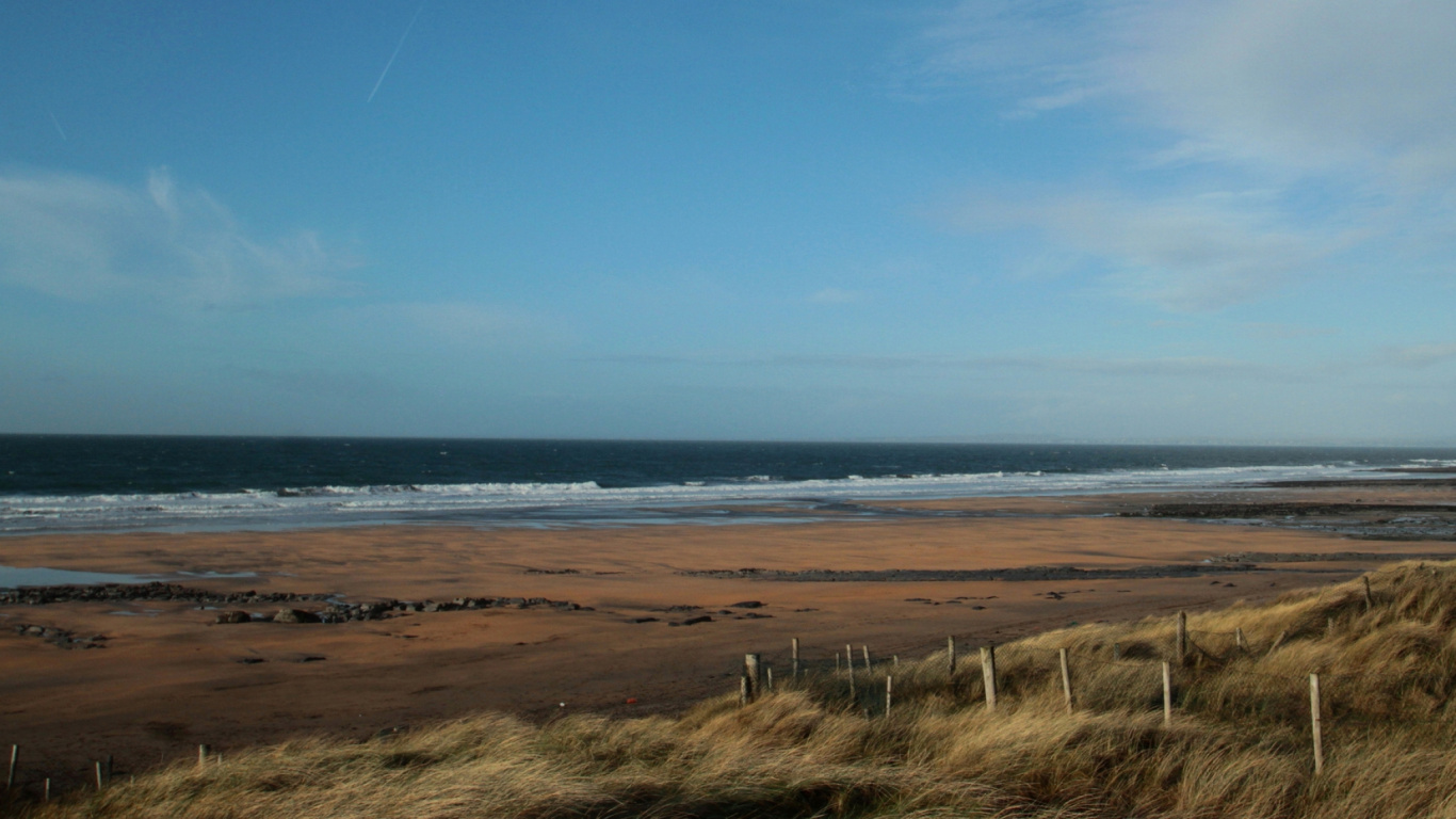 Brown Grass Field Near Sea Under Blue Sky During Daytime. Wallpaper in 1366x768 Resolution