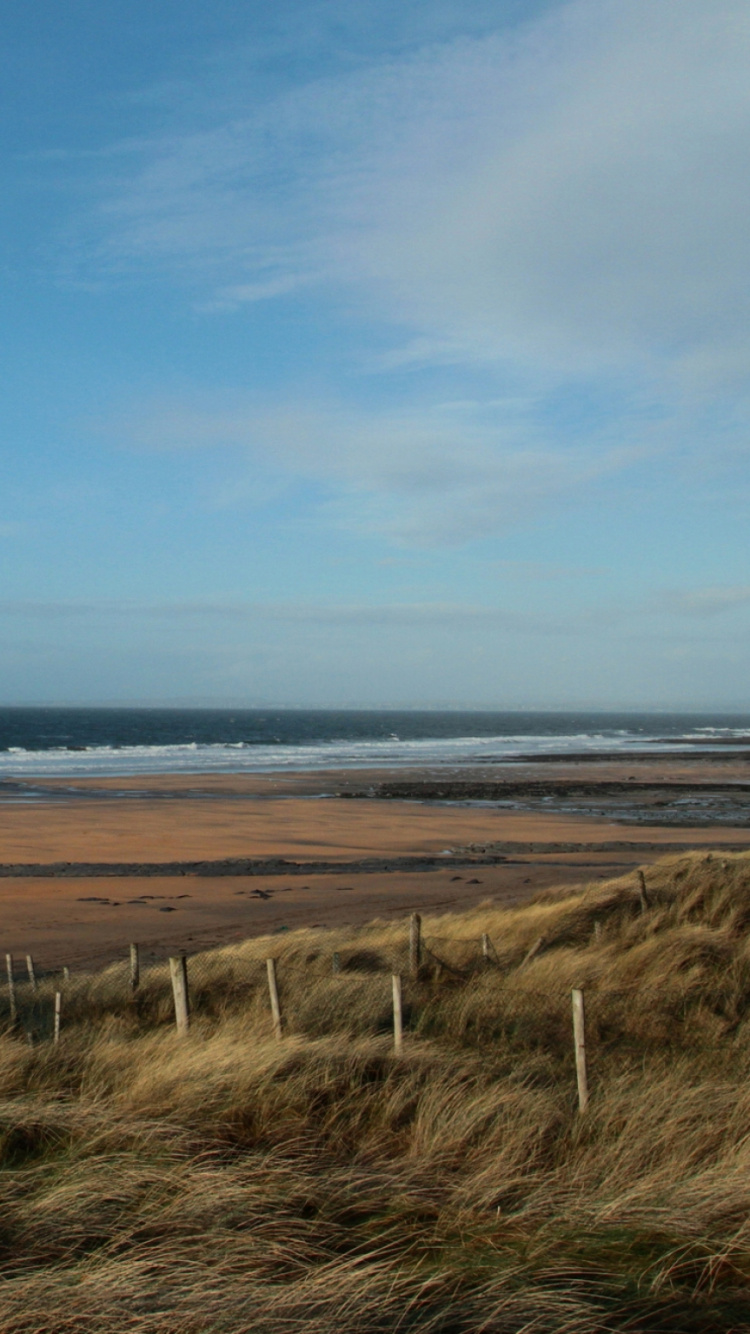 Braunes Grasfeld in Der Nähe Des Meeres Unter Blauem Himmel Tagsüber. Wallpaper in 750x1334 Resolution