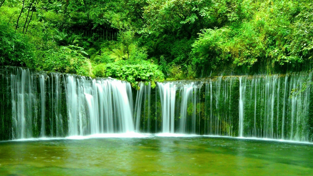 Wasser Fällt Mitten in Grüne Bäume. Wallpaper in 1280x720 Resolution