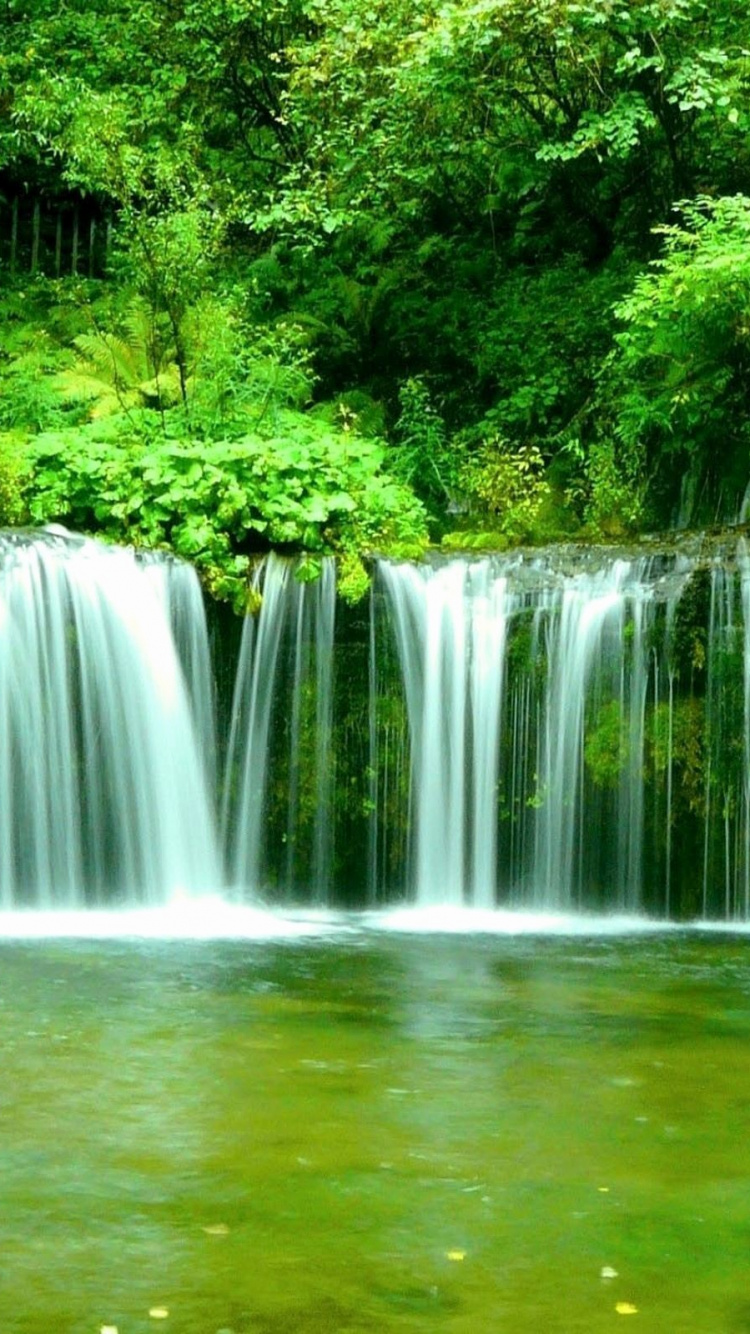 Water Falls in The Middle of Green Trees. Wallpaper in 750x1334 Resolution