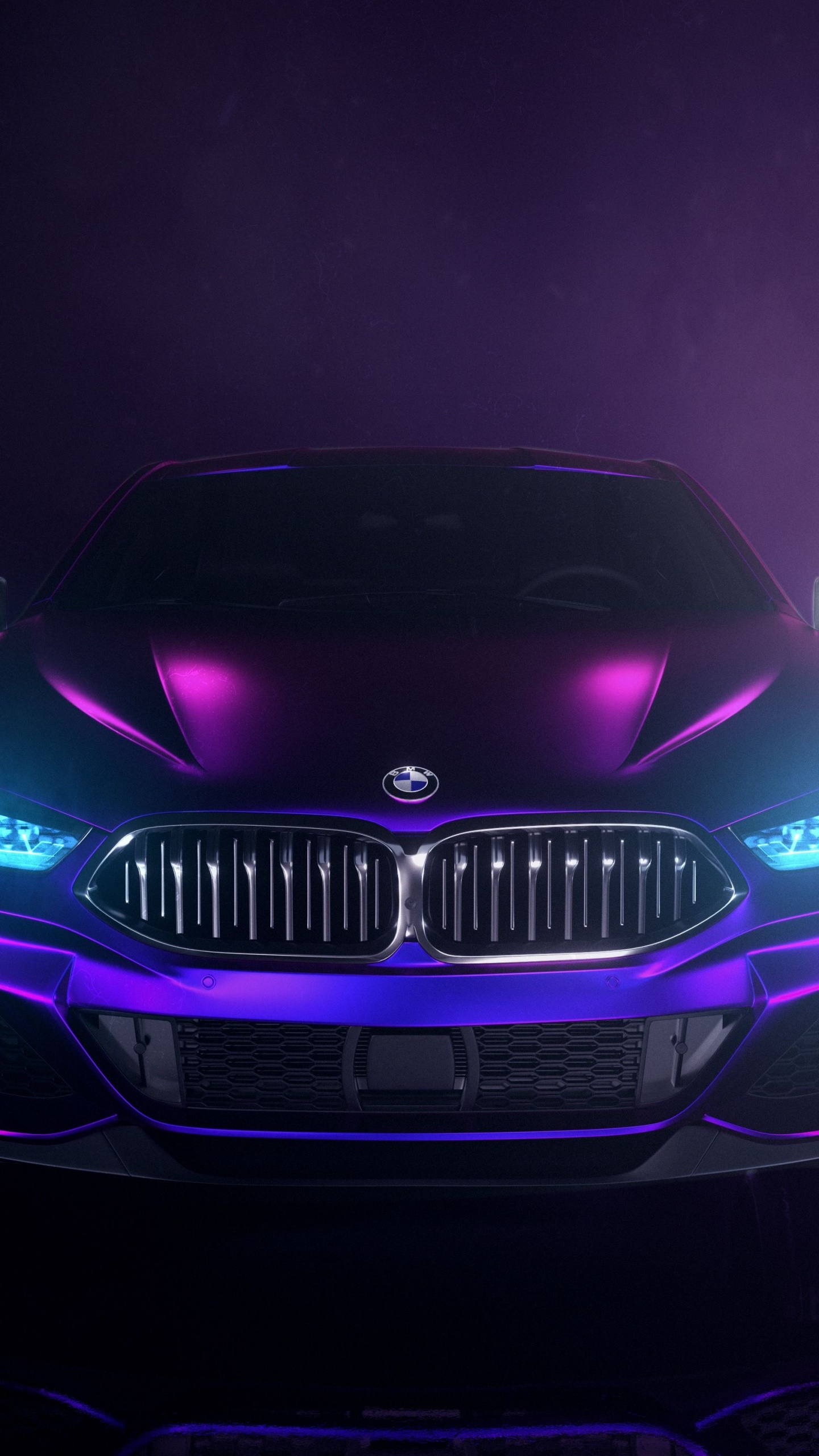 Bmw, Bayerische Motoren Werke AG, Cars, BMW M2, Lamborghini. Wallpaper in 1440x2560 Resolution