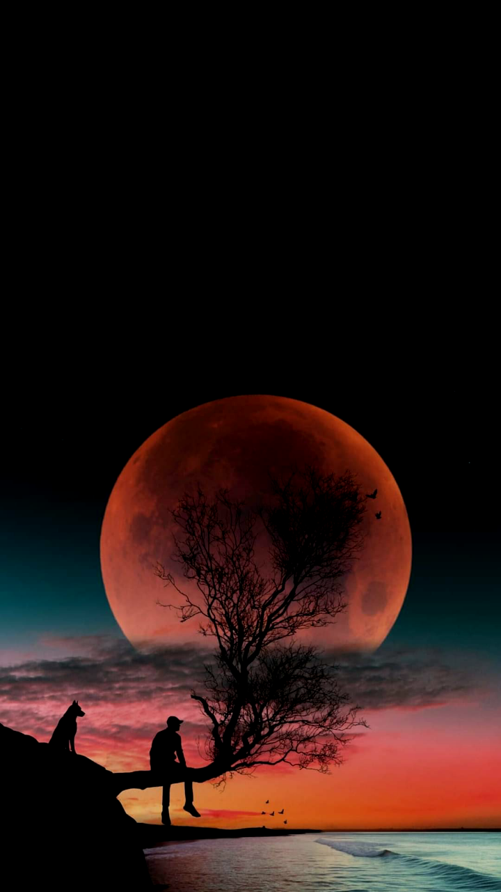 Kunst, Digitale Kunst, Ästhetik, Atmosphäre, Naturlandschaft. Wallpaper in 720x1280 Resolution