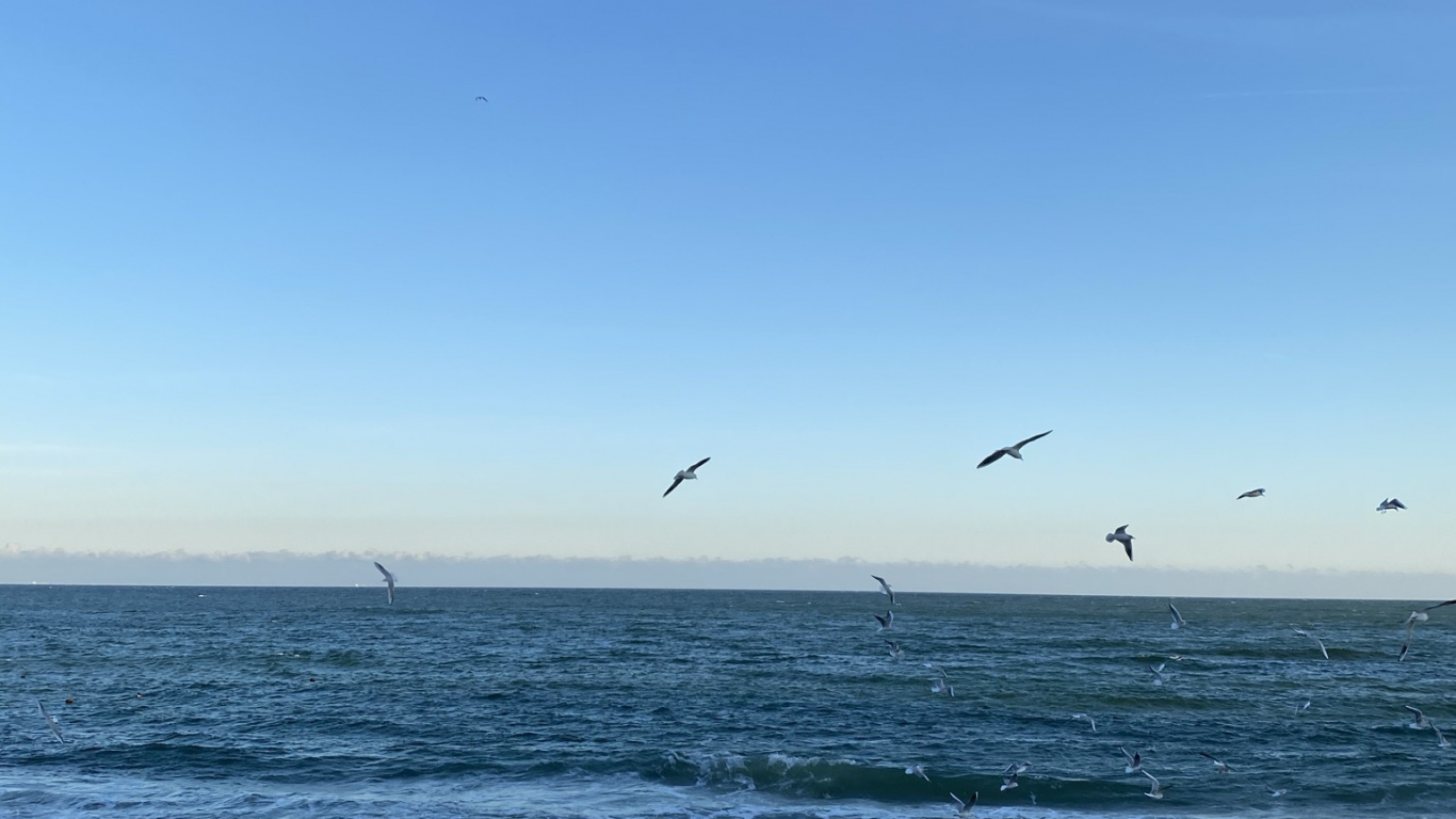 Mar, Playa, Playa de Alki, Openstreetmap, Cuerpo de Agua. Wallpaper in 1366x768 Resolution