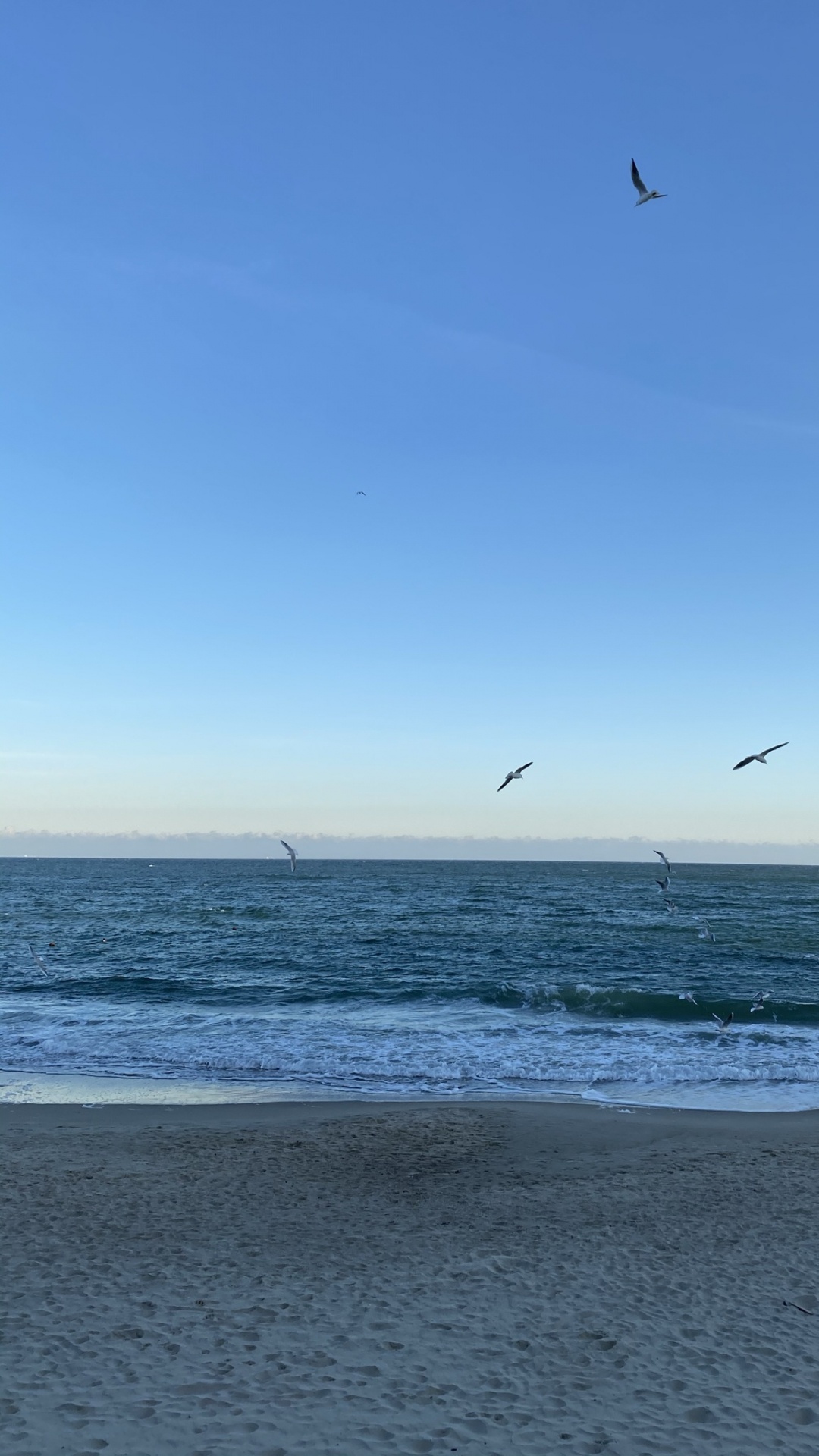 Meer, Strand, Alki Strand, Openstreetmap, Gewässer. Wallpaper in 1080x1920 Resolution