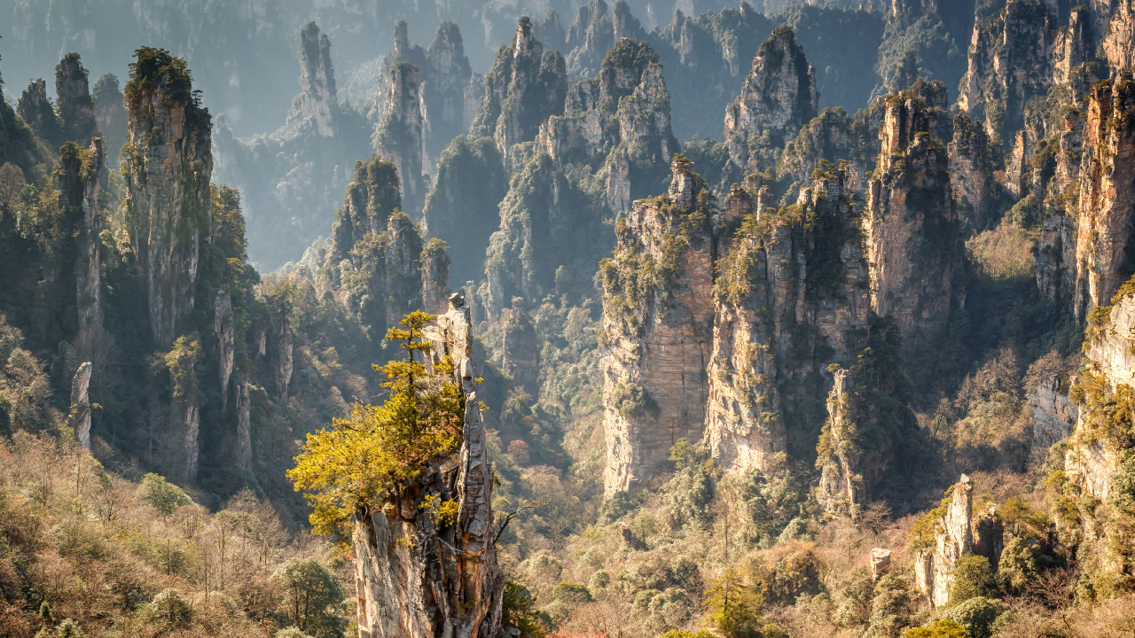 Green and Brown Trees Near Mountain During Daytime. Wallpaper in 1280x720 Resolution