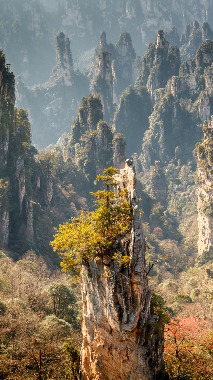 公园, 性质, 植被, 多山的地貌, 荒野 壁纸 750x1334 允许