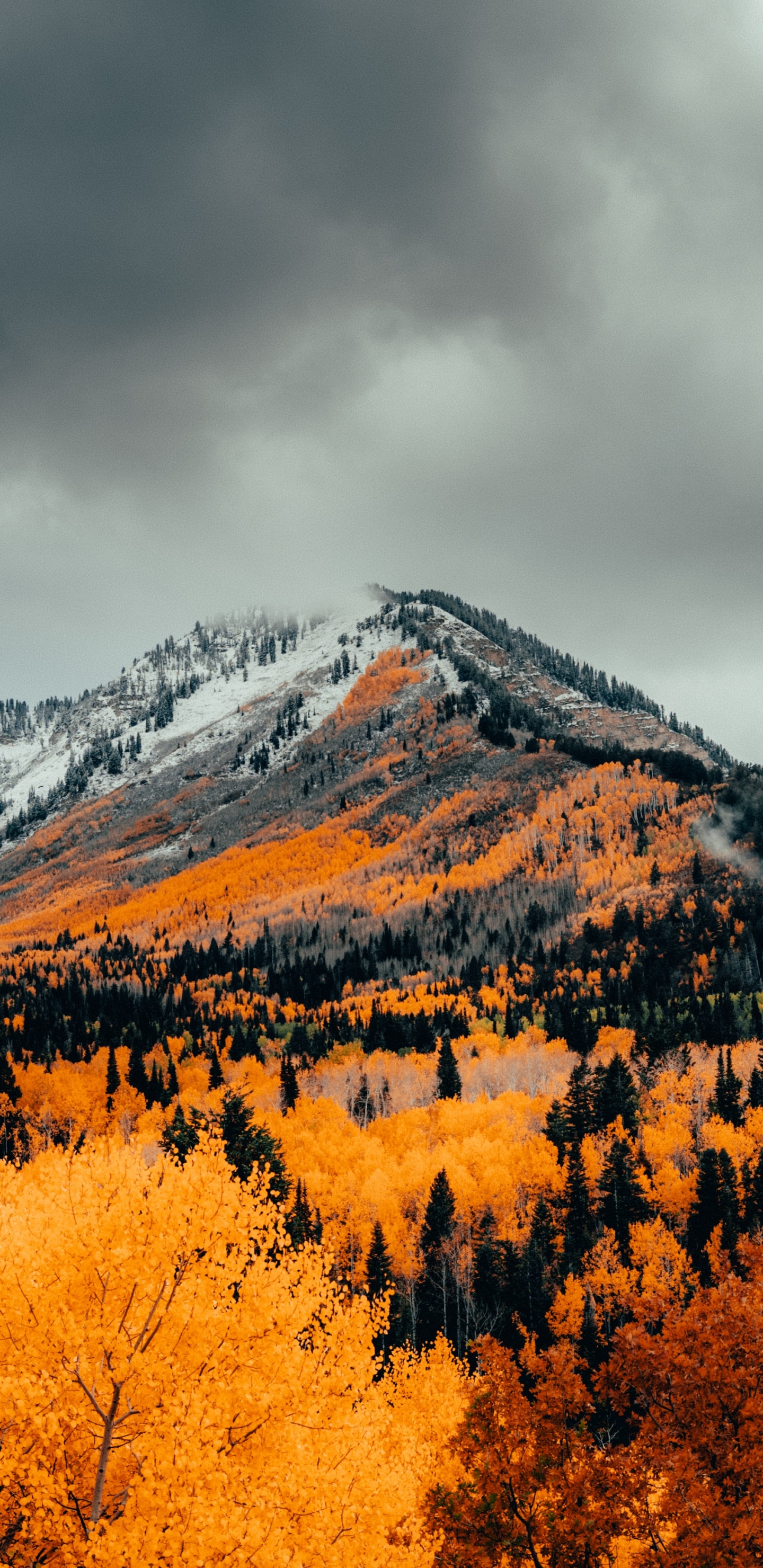 Alpine, Autumn, Mountain, Nature, Cloud. Wallpaper in 1440x2960 Resolution