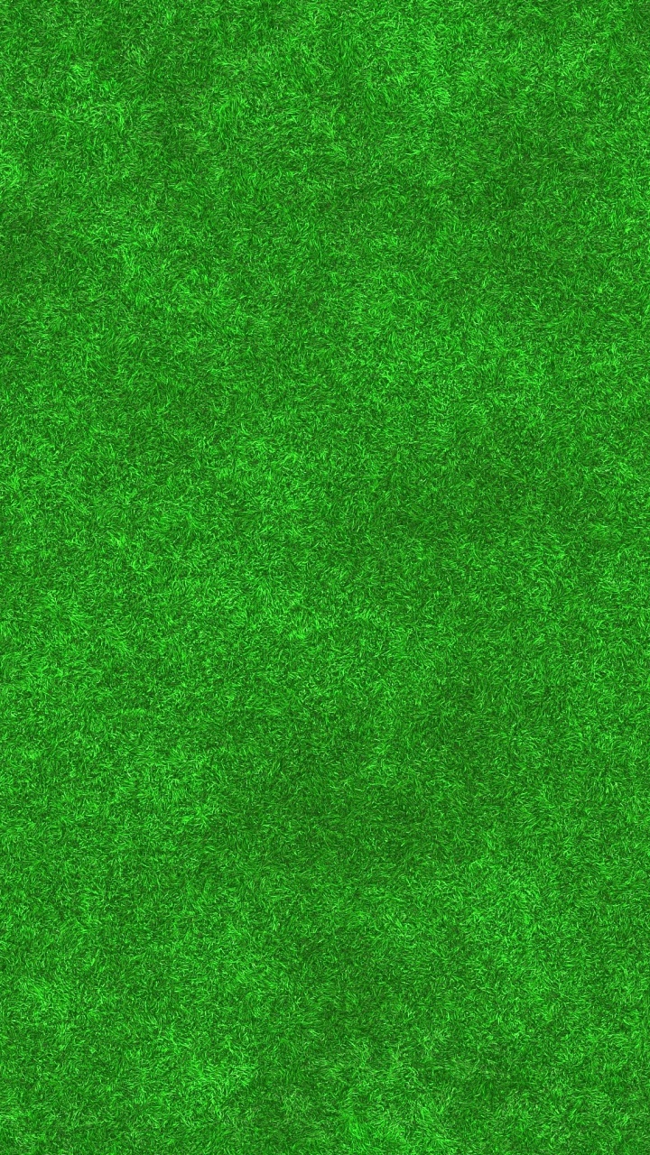 Person in Black Pants Standing on Green Carpet. Wallpaper in 720x1280 Resolution