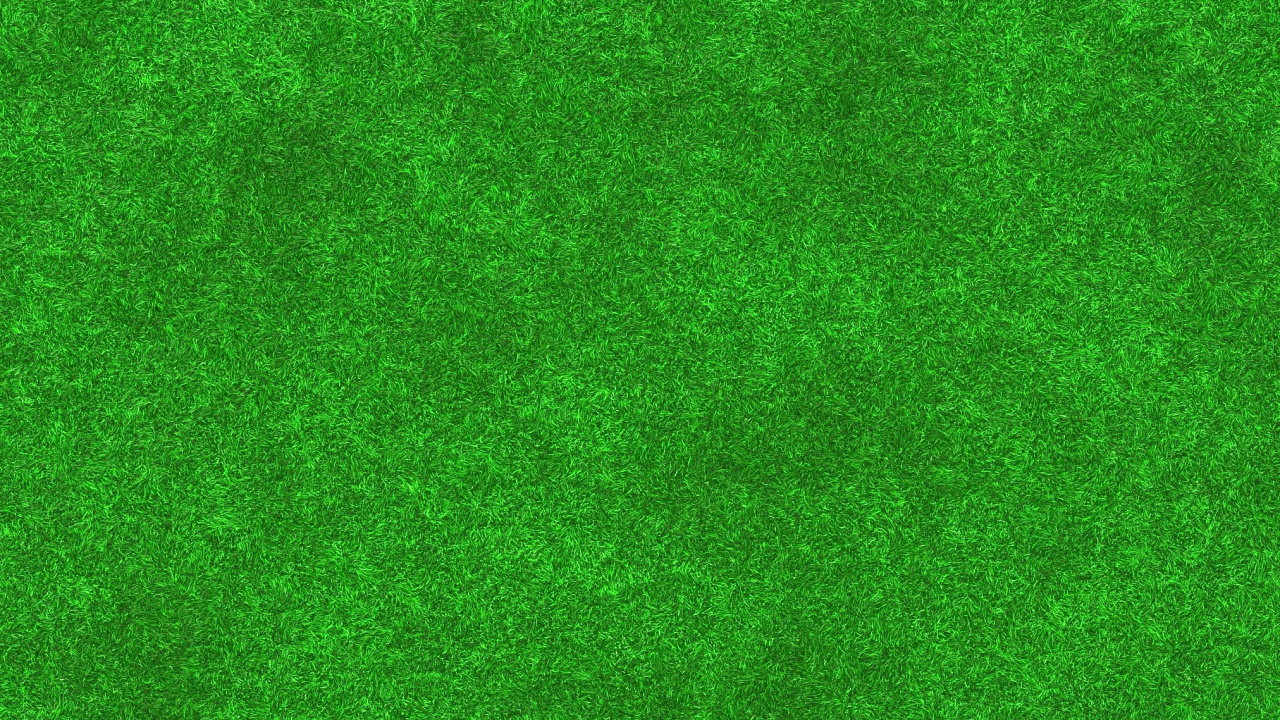 Person in Schwarzer Hose, Die Auf Grünem Teppich Steht. Wallpaper in 1280x720 Resolution