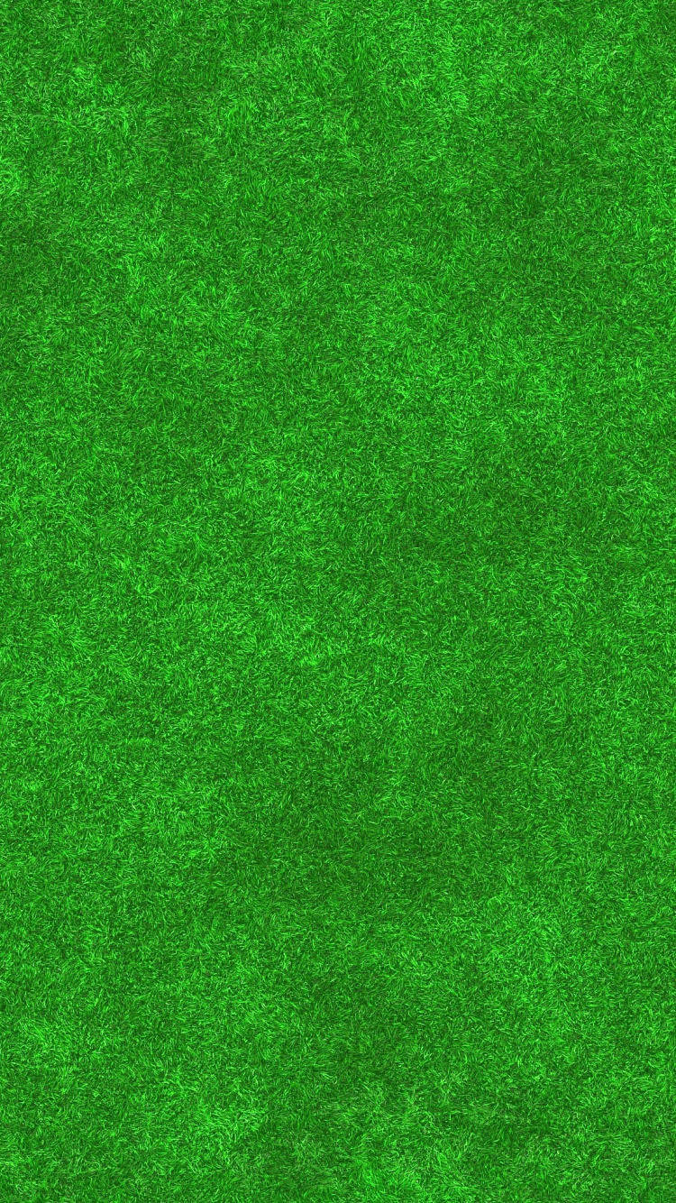 Person in Schwarzer Hose, Die Auf Grünem Teppich Steht. Wallpaper in 750x1334 Resolution