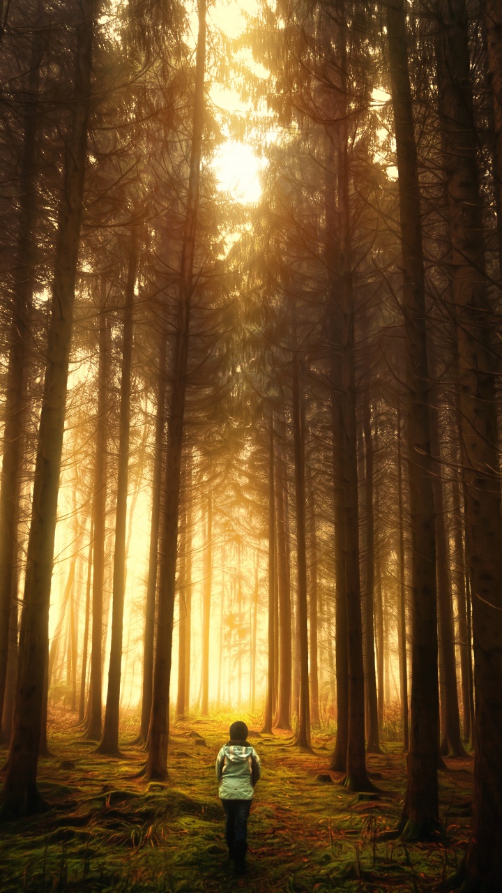 Person in Blauer Jacke, Die Tagsüber im Wald Steht. Wallpaper in 720x1280 Resolution