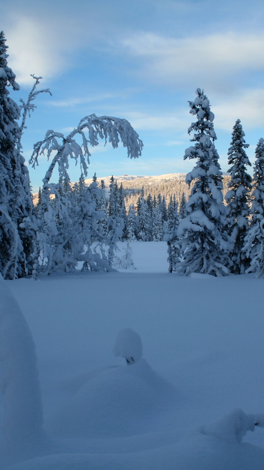Schneebedeckte Bäume Tagsüber. Wallpaper in 1080x1920 Resolution