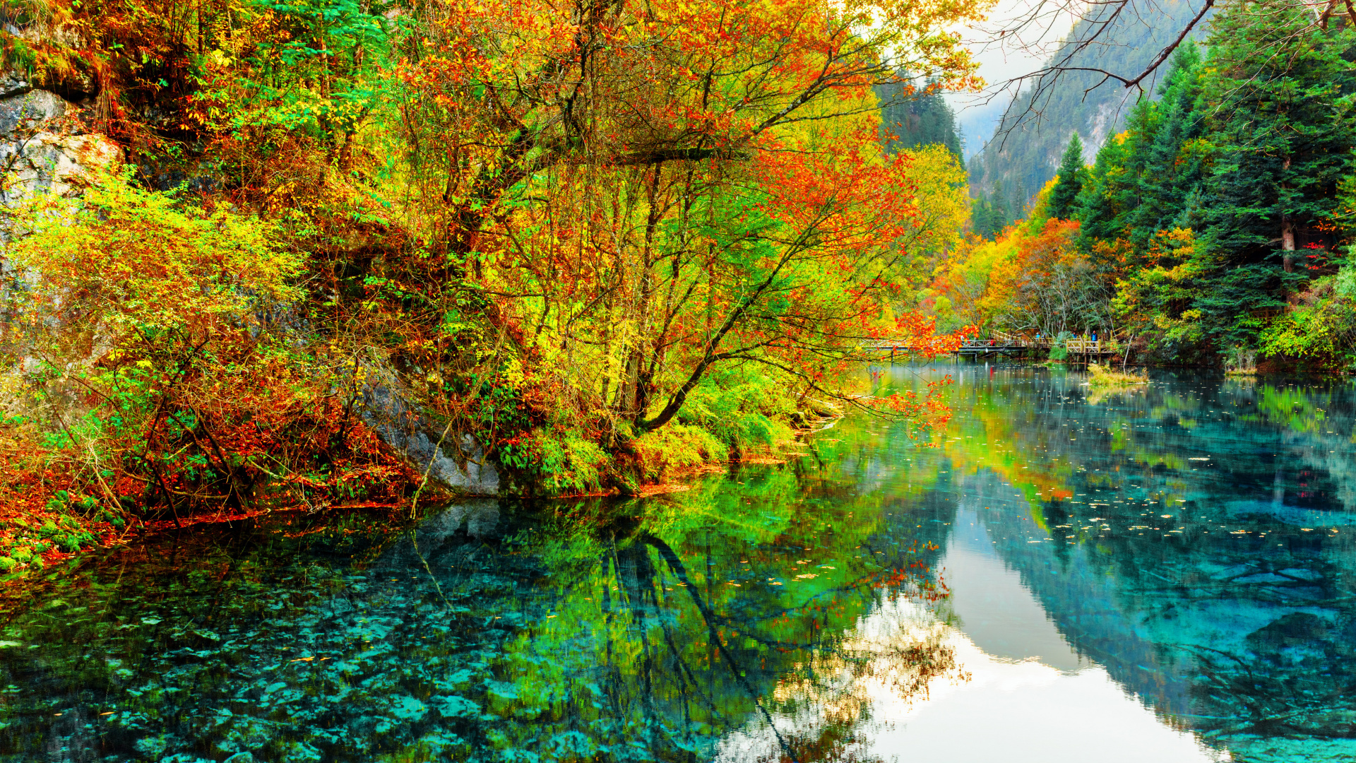 Green and Brown Trees Beside River During Daytime. Wallpaper in 1920x1080 Resolution