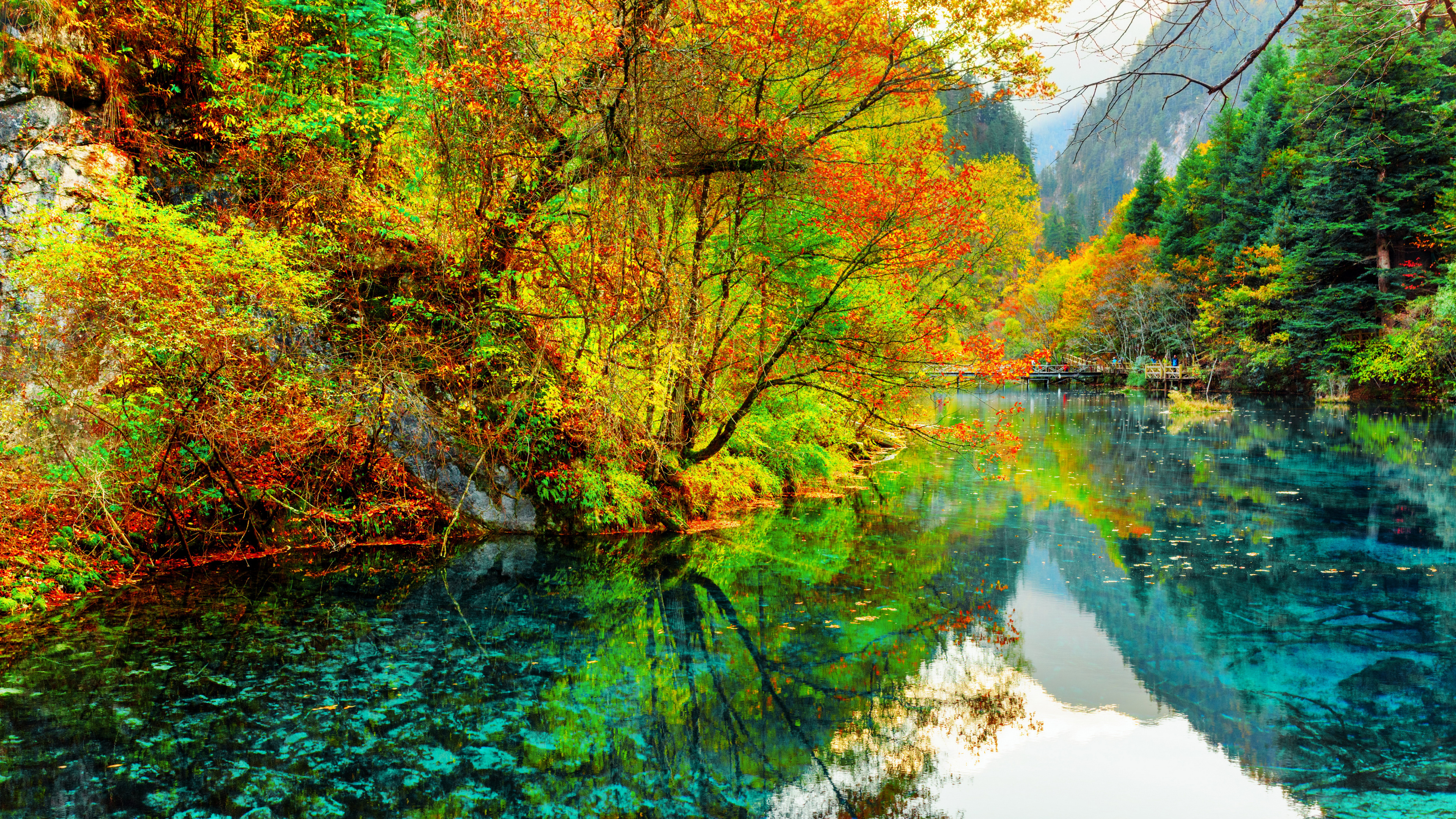 Tagsüber Grüne Und Braune Bäume am Fluss. Wallpaper in 3840x2160 Resolution