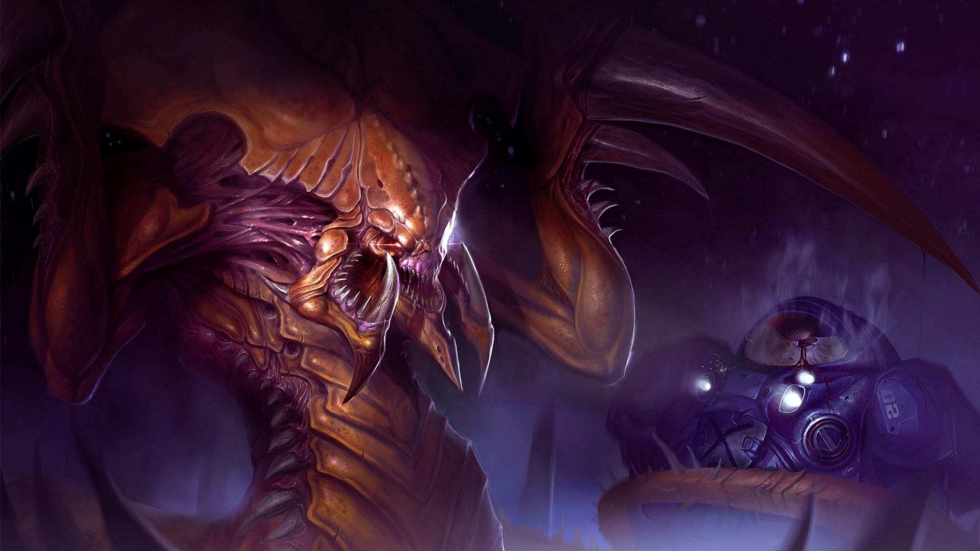 Braune Und Blaue Drachenillustration Dragon. Wallpaper in 1920x1080 Resolution