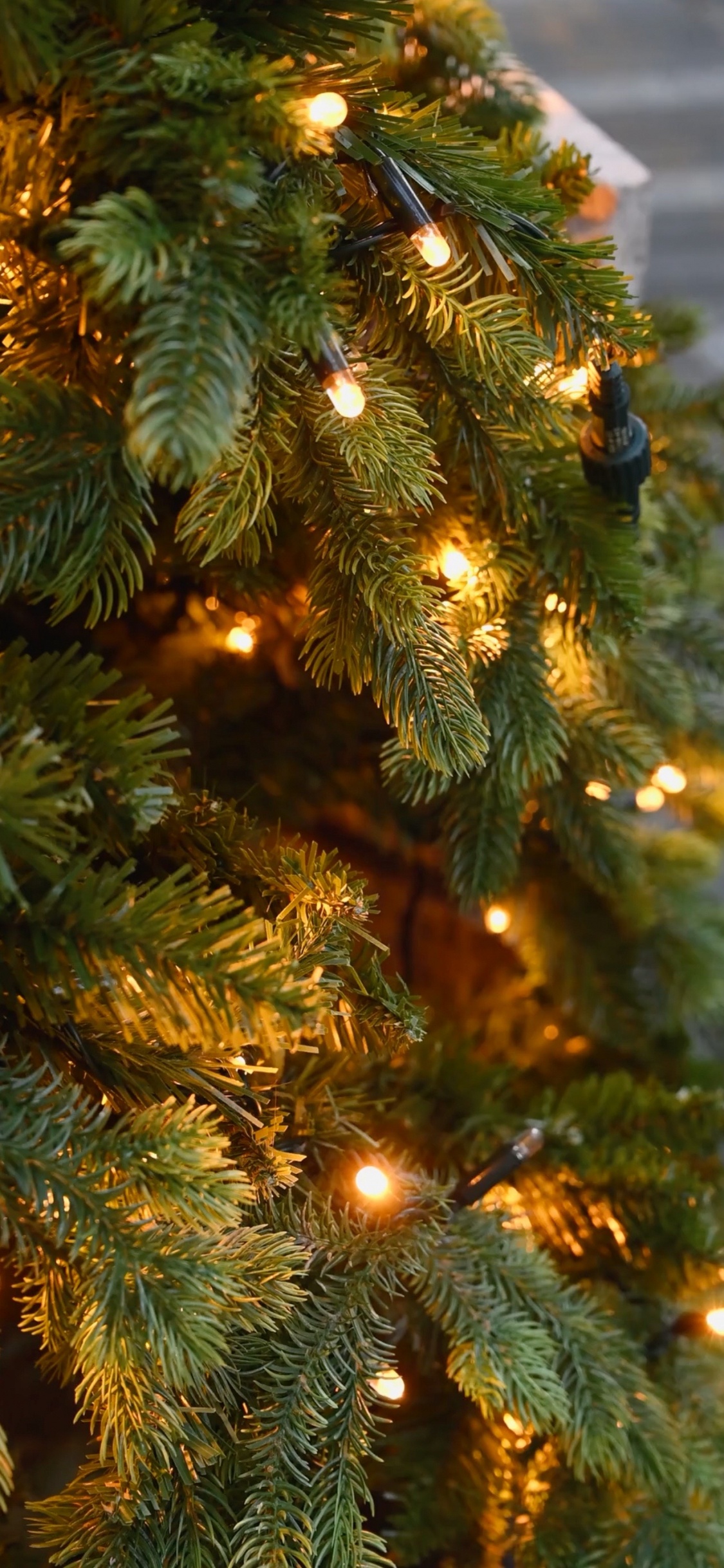 Arbre de Noël, Les Lumières de Noël, Ornement de Noël, Lumière, Vacances Ornement. Wallpaper in 1125x2436 Resolution