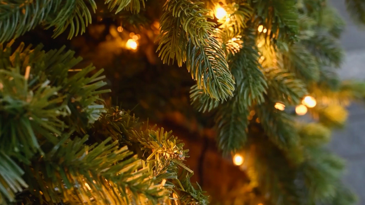 Weihnachtsbaum, Weihnachtsbeleuchtung, Christmas Ornament, Licht, Holiday Ornament. Wallpaper in 1280x720 Resolution