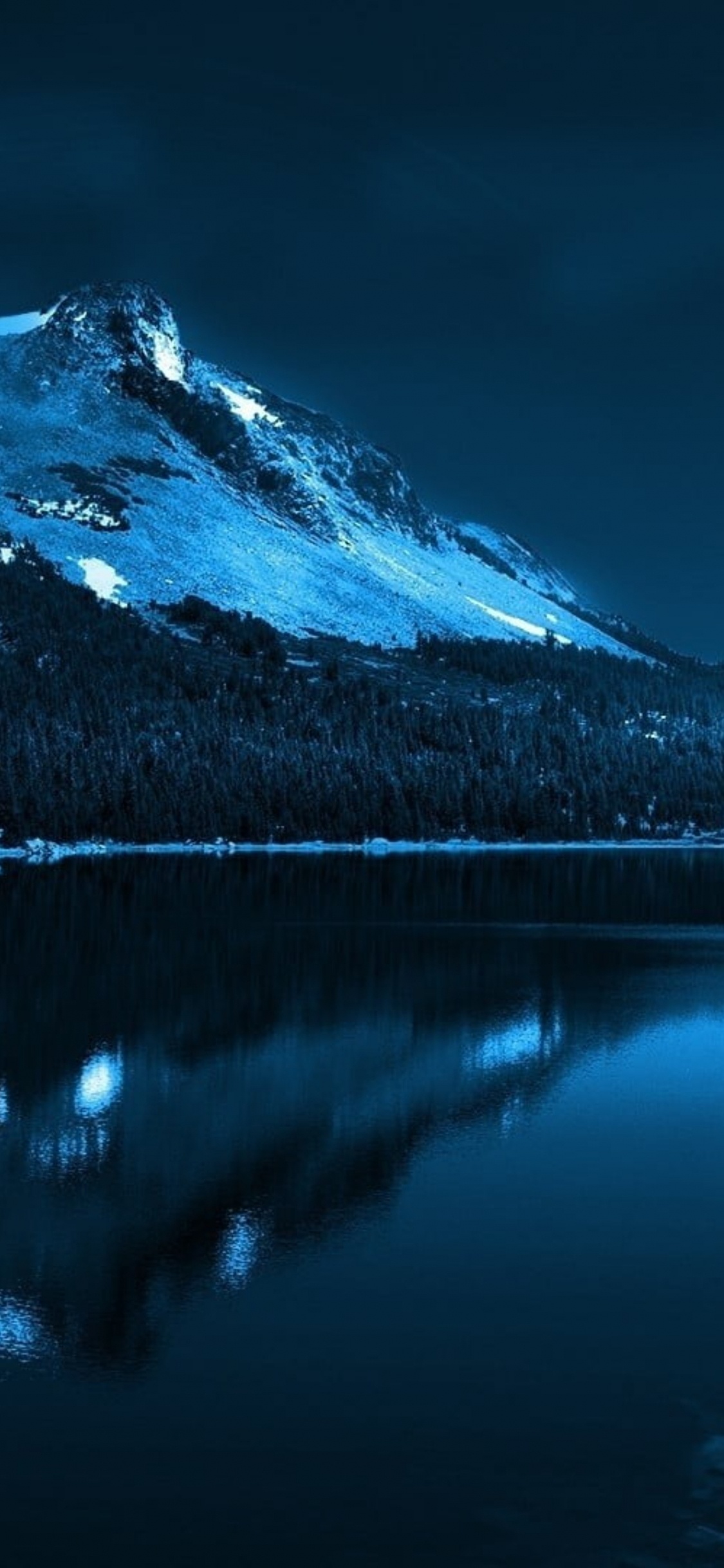 Ihr Nationaler Wald, Wald, Natur, Wasser, Atmosphäre. Wallpaper in 1125x2436 Resolution