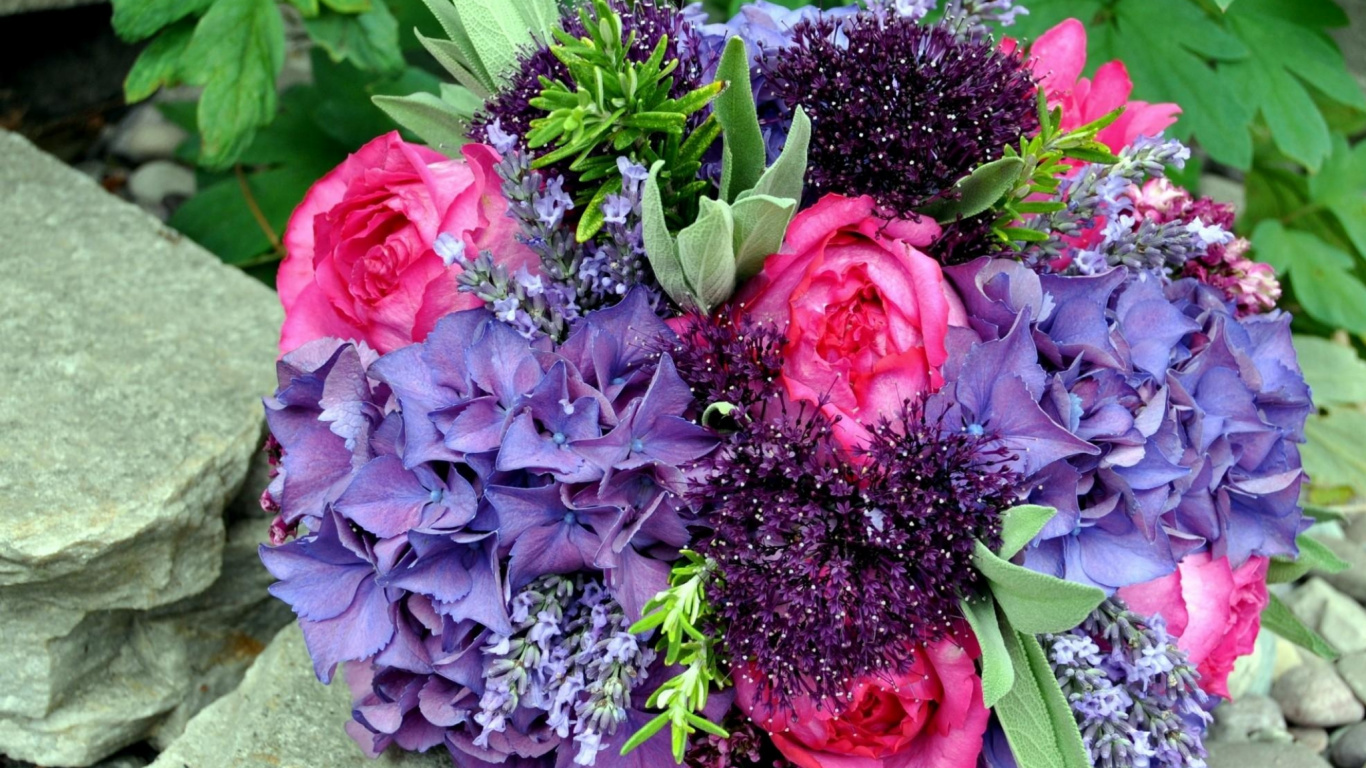 Bouquet de Roses Rouges et D'hortensias Violets. Wallpaper in 1366x768 Resolution