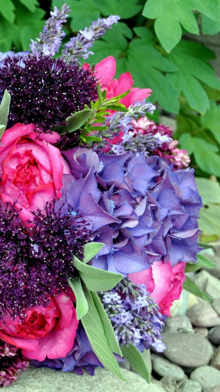 花卉设计, 显花植物, 花安排, 切花, 花艺 壁纸 750x1334 允许