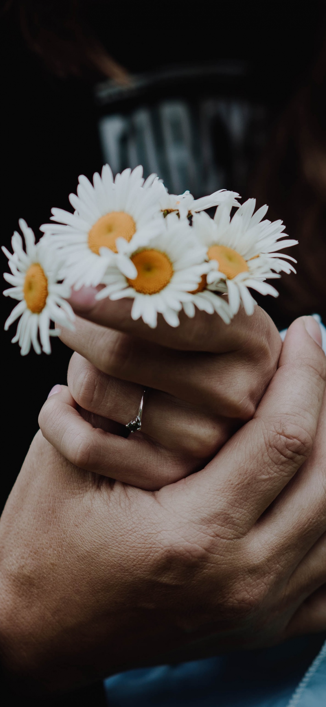 Person Holding White Daisy Flower. Wallpaper in 1125x2436 Resolution