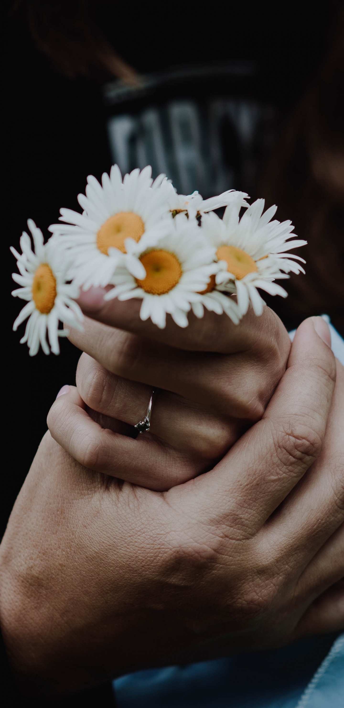 Person Holding White Daisy Flower. Wallpaper in 1440x2960 Resolution