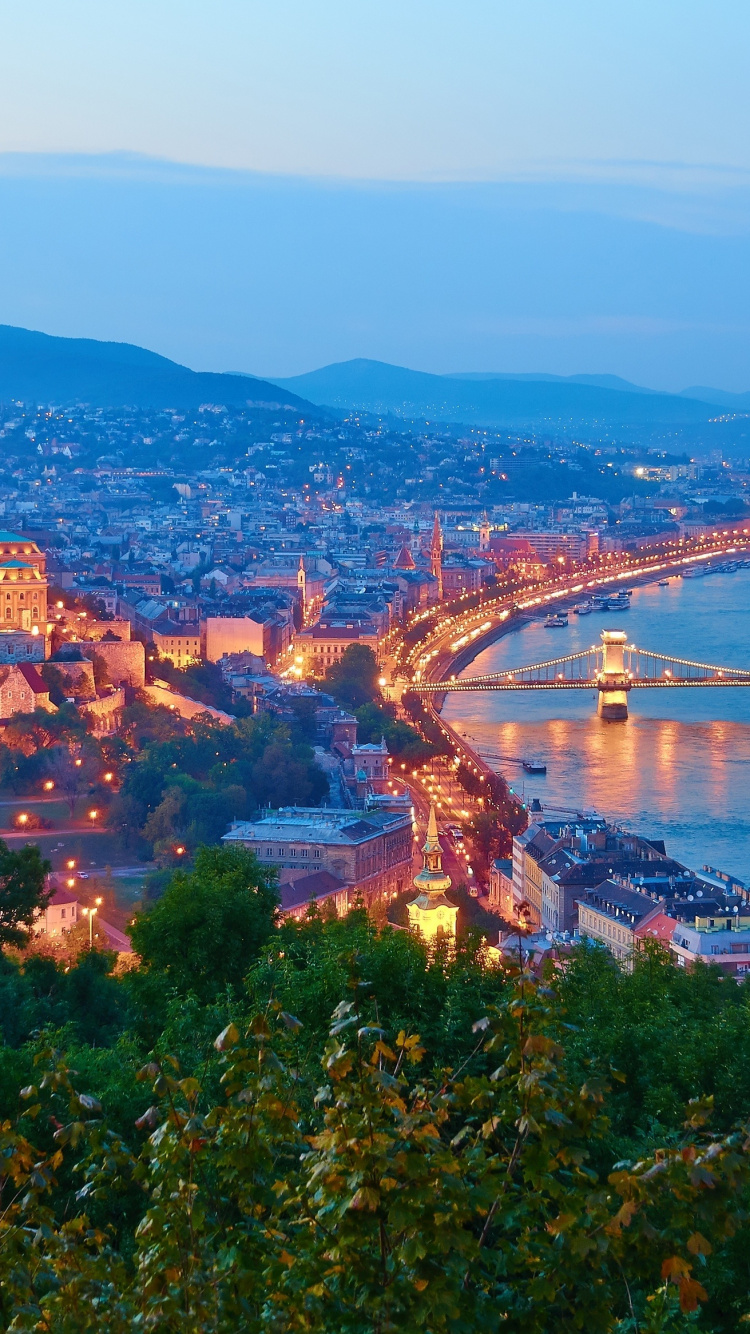 Aerial View of City Buildings During Daytime. Wallpaper in 750x1334 Resolution