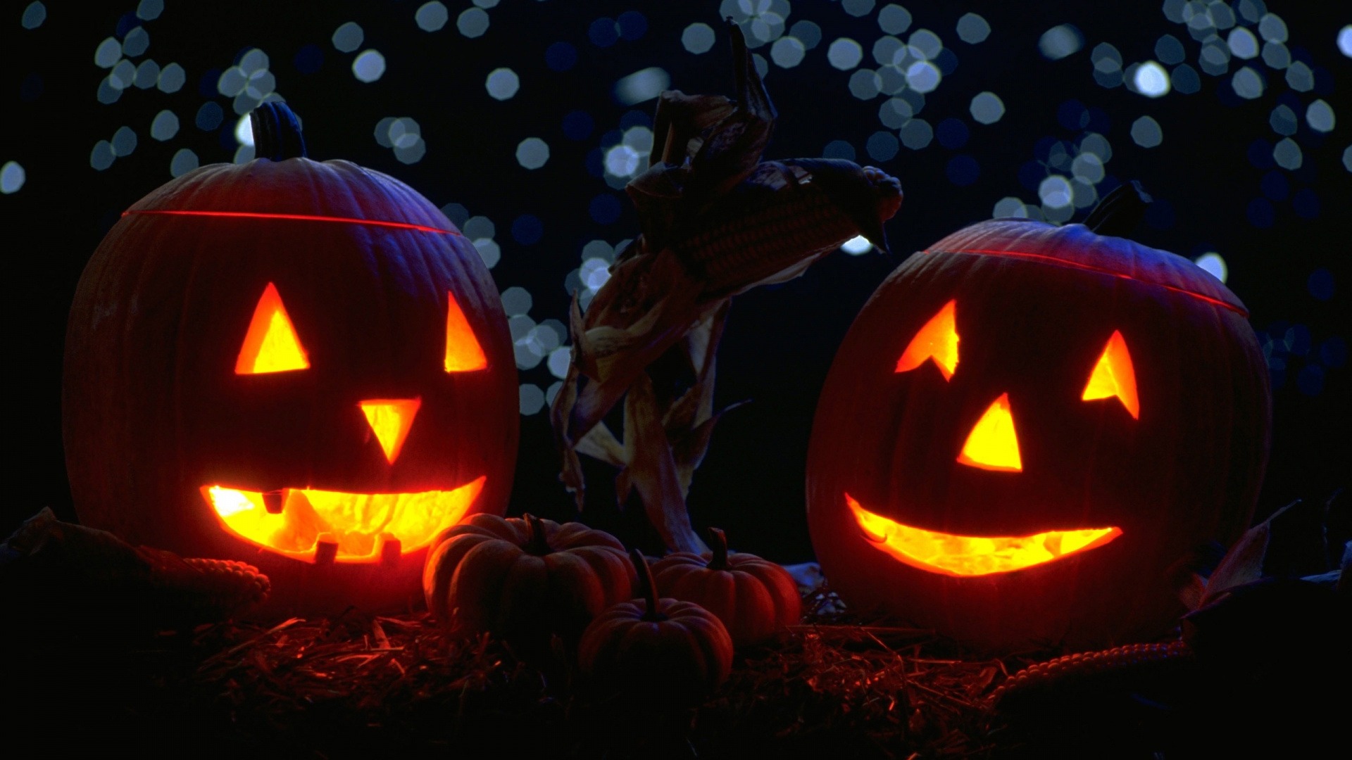 Calabaza, Pumpkin, Lighting, Jack o Lantern, Heat. Wallpaper in 1920x1080 Resolution