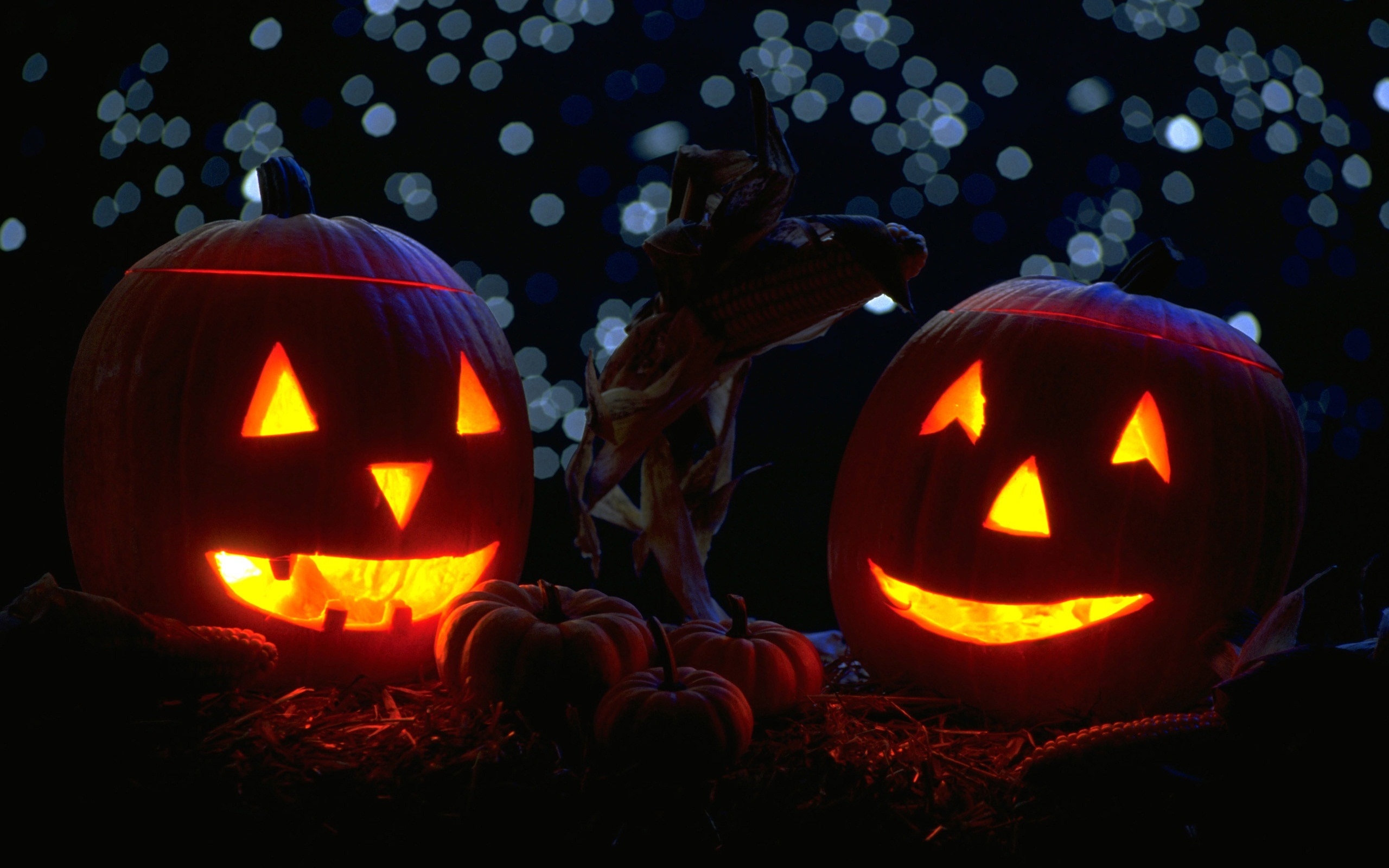 Wallpaper Calabaza, Festival, Halloween, Jack o Lantern, Dark, Background - Download Free Image Wallpaper Calabaza, Festival, Halloween, Jack o Lantern, Dark, Background - Download Free Image