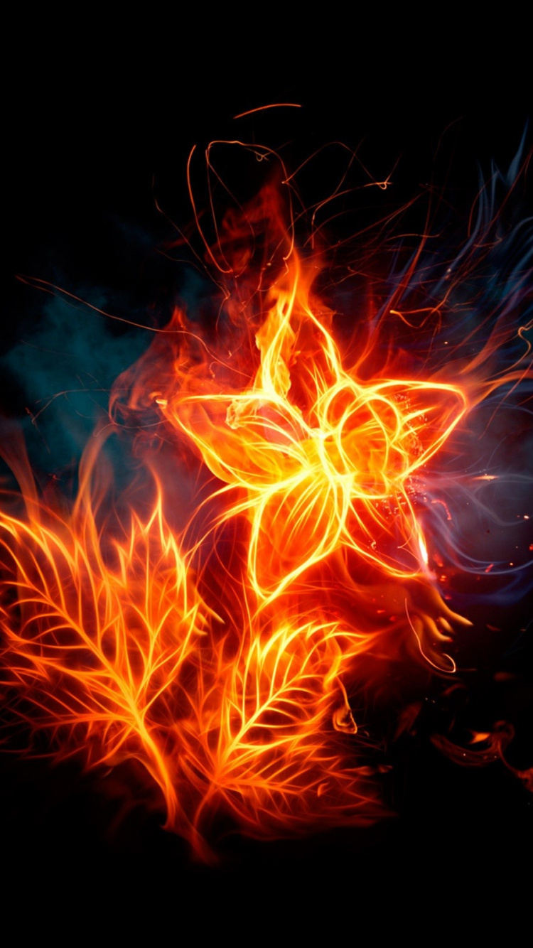 Orange and Red Fire in The Dark. Wallpaper in 750x1334 Resolution