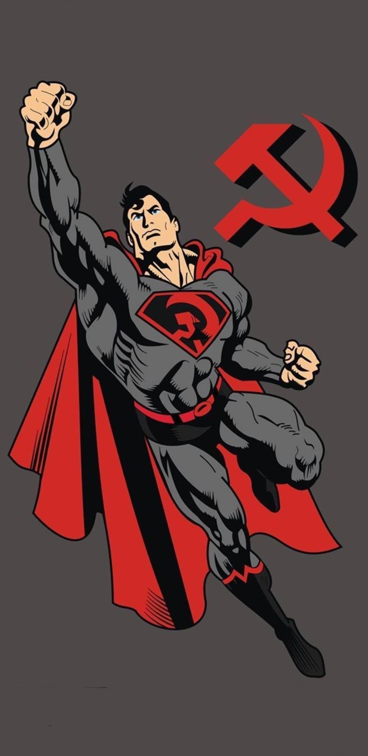 Supermann Fliegt, Superman, Superman Red Son, Batman, dc Comics. Wallpaper in 1440x2960 Resolution
