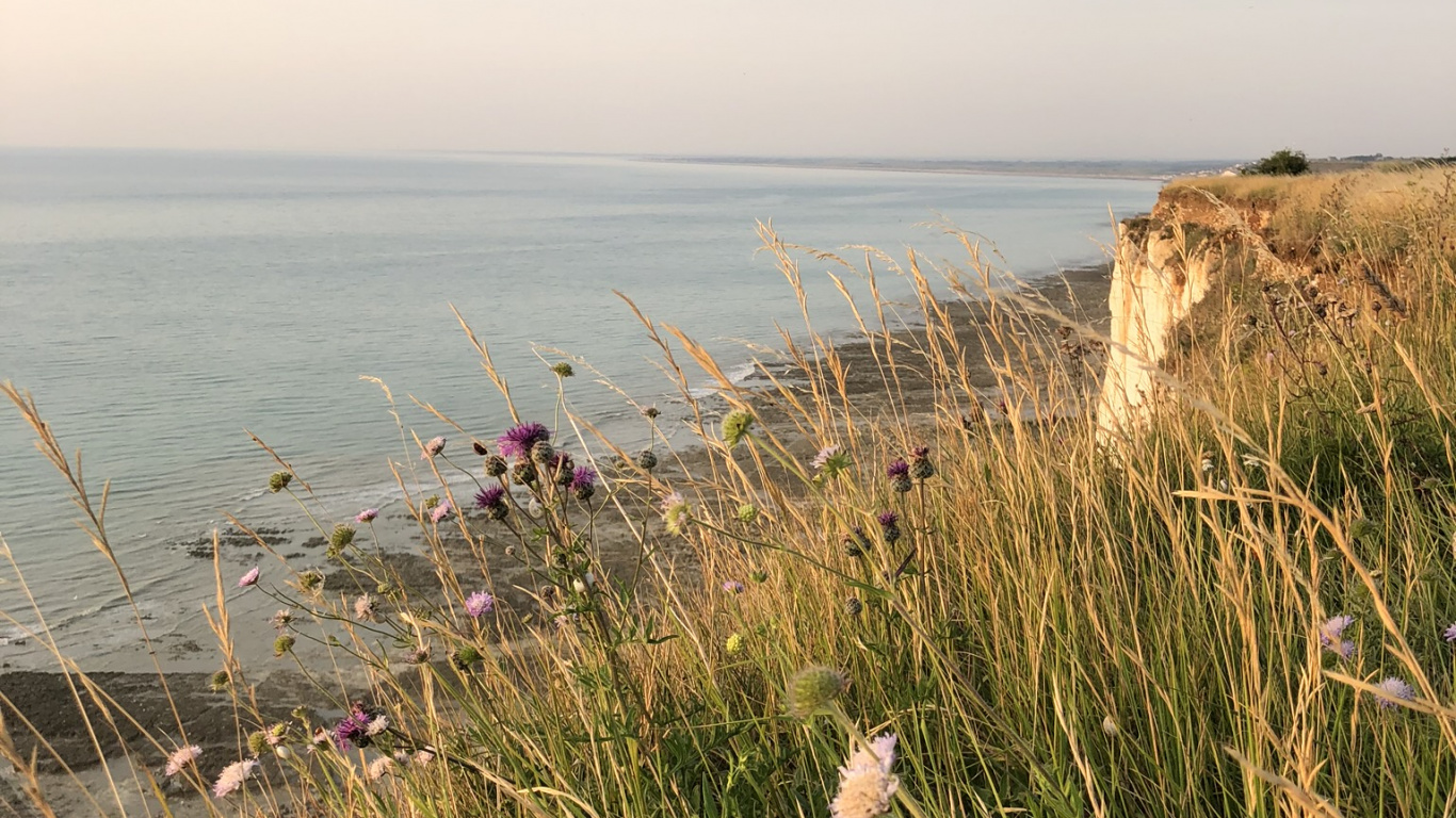 海岸, 植物群, 岸边, 地平线, 海洋 壁纸 1366x768 允许