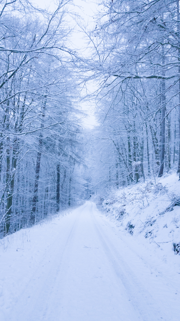 Schnee, Snow Road, Winter, Baum, Natur. Wallpaper in 750x1334 Resolution