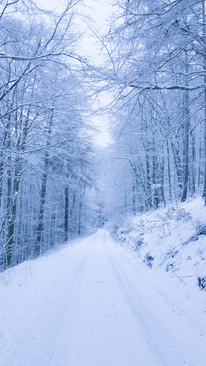 Neige, la Neige de la Route, Hiver, Nature, Forêt. Wallpaper in 720x1280 Resolution