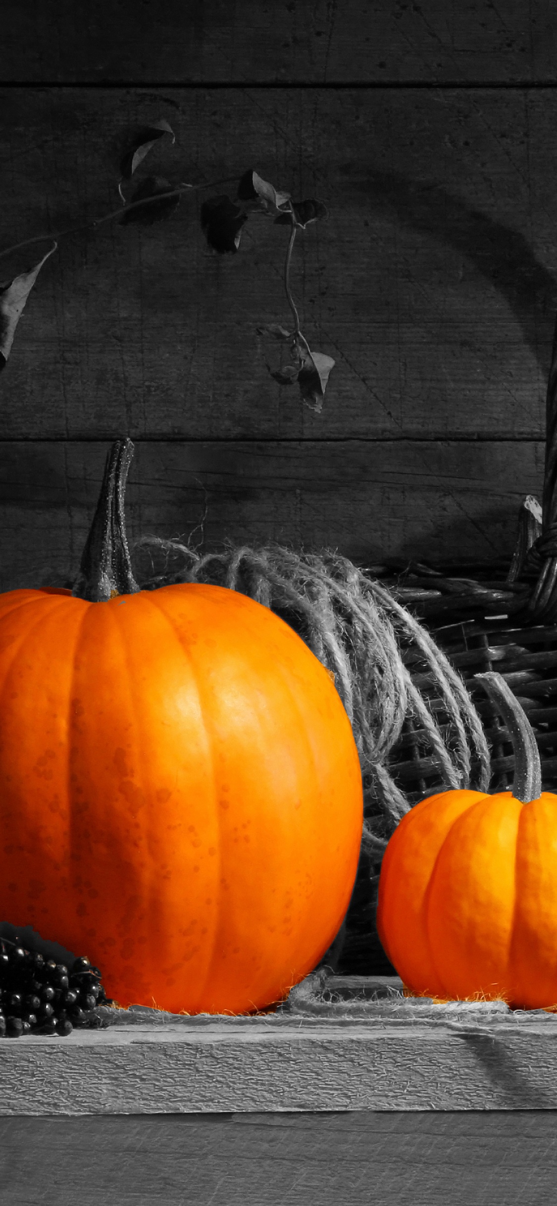 Orange Pumpkin on Brown Woven Basket. Wallpaper in 1125x2436 Resolution