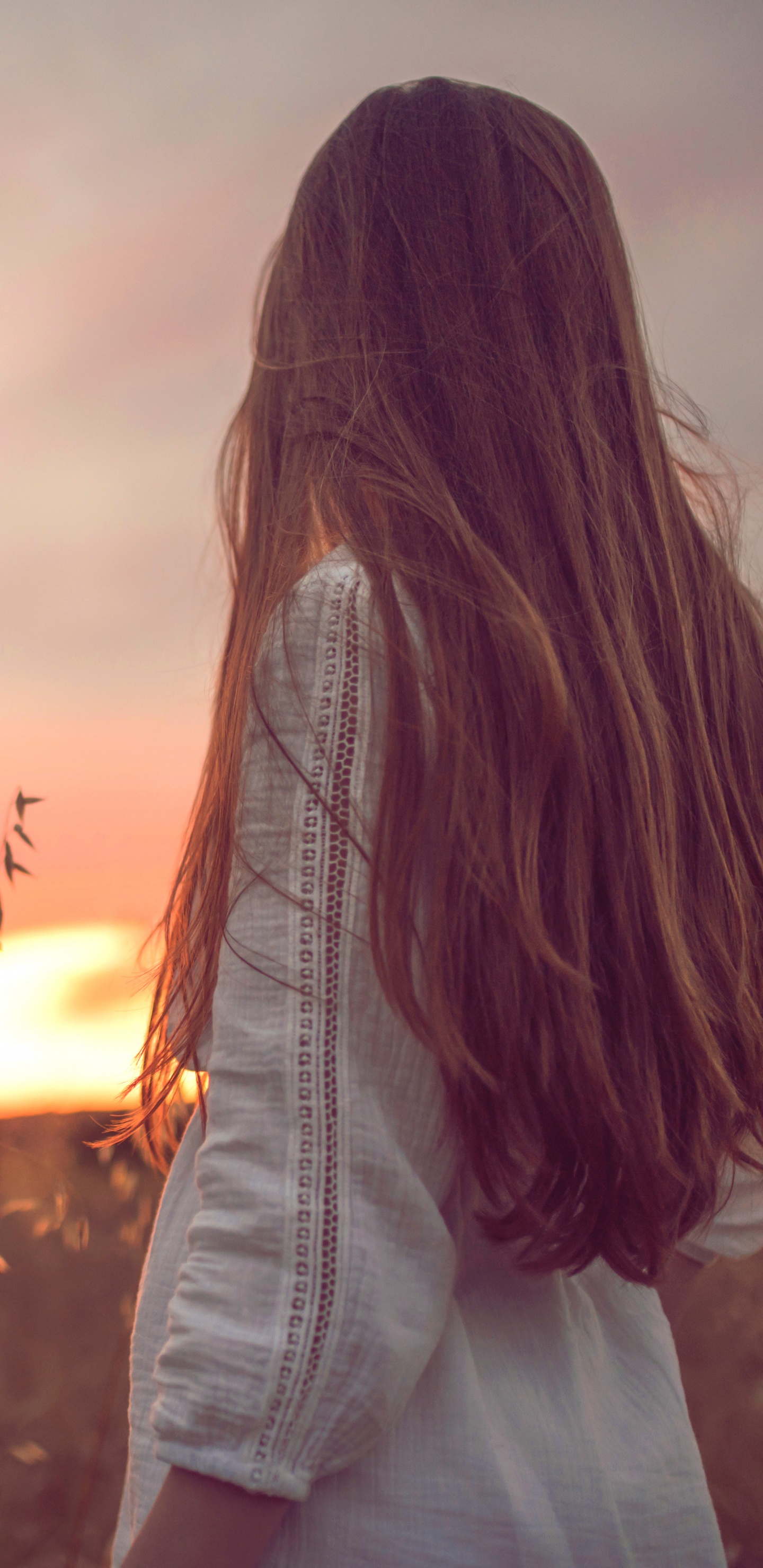 头发, 人们在自然界, 长长的头发, 阳光, 光 壁纸 1440x2960 允许