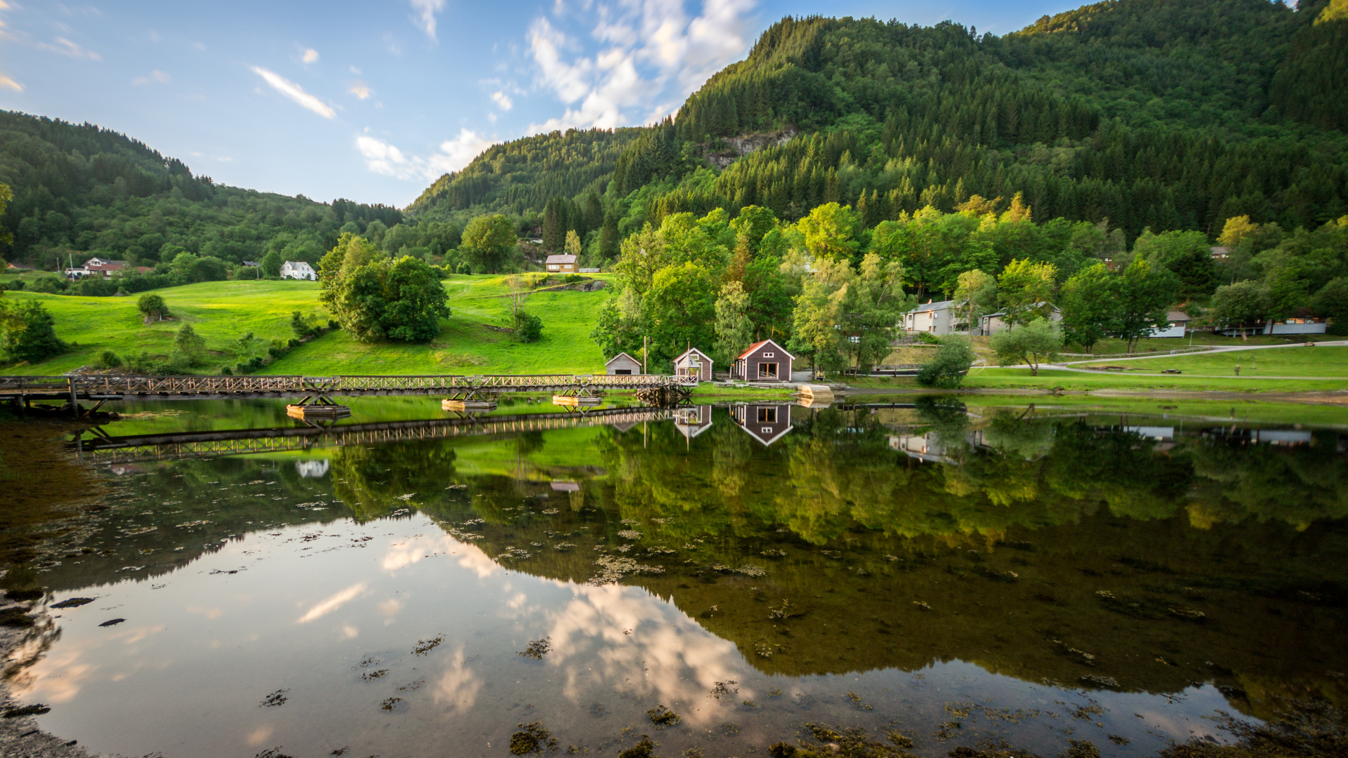 Green Trees Near Lake Under Blue Sky During Daytime. Wallpaper in 1920x1080 Resolution