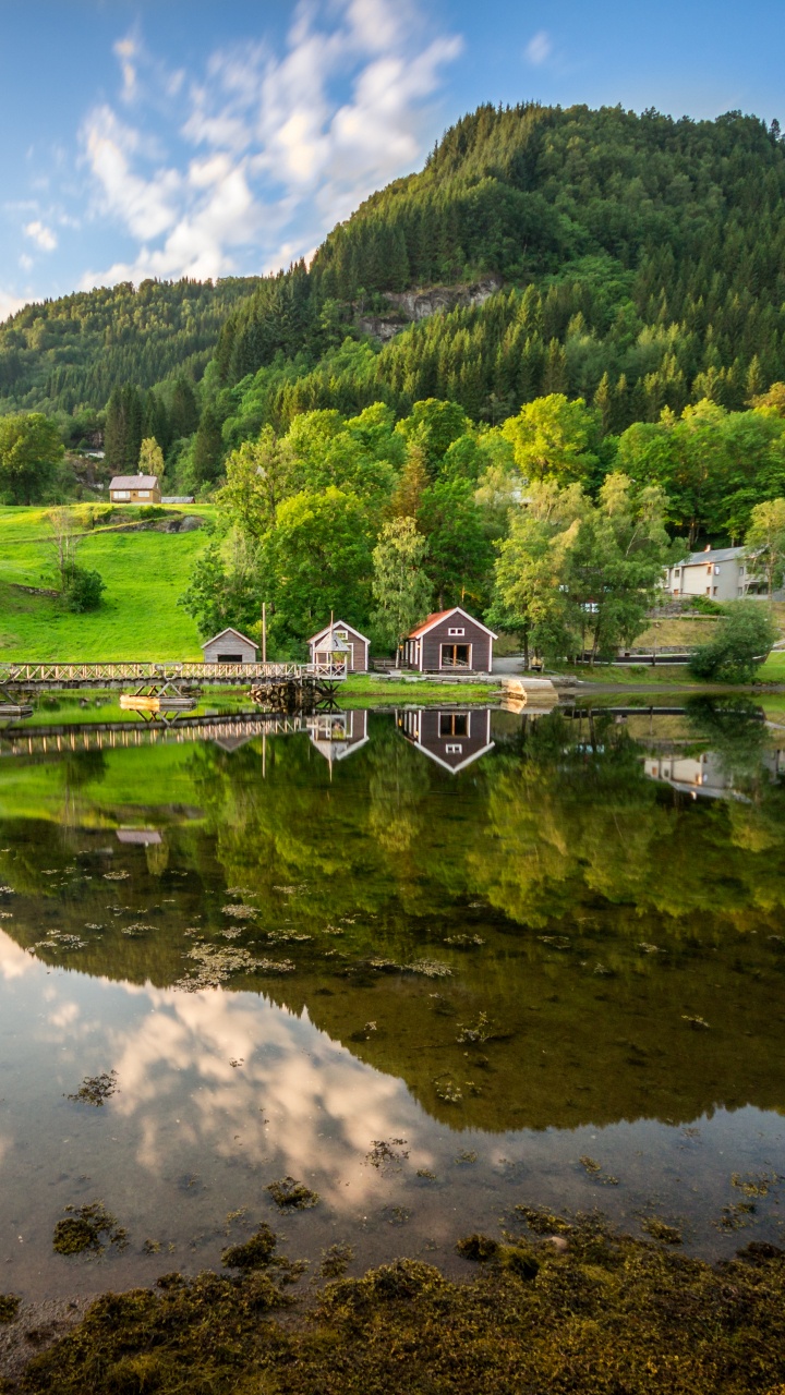 Grüne Bäume in Der Nähe Des Sees Unter Blauem Himmel Tagsüber. Wallpaper in 720x1280 Resolution
