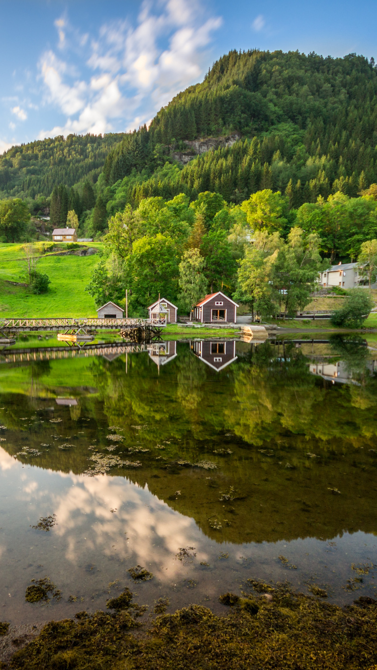 Grüne Bäume in Der Nähe Des Sees Unter Blauem Himmel Tagsüber. Wallpaper in 750x1334 Resolution