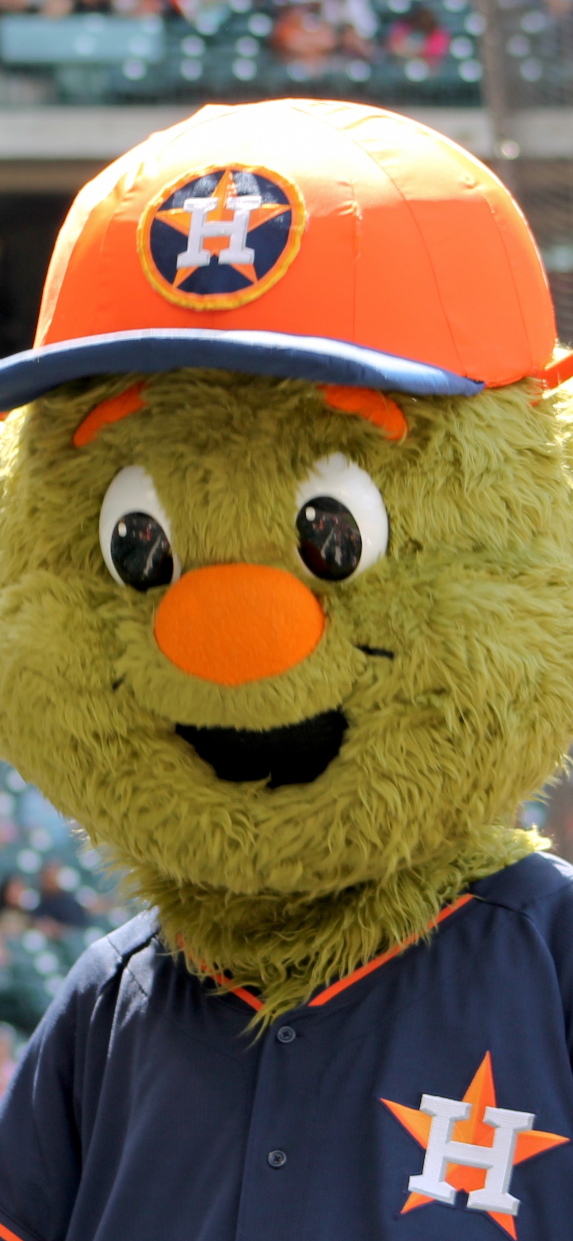 Oso Pardo en Camisa Azul y Roja Con Sombrero Amarillo y Rojo. Wallpaper in 1125x2436 Resolution