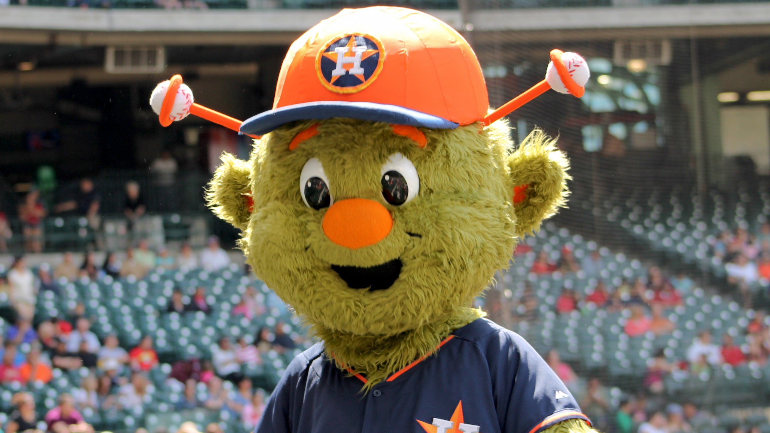 Braunbär im Blau-roten Hemd Mit Gelbem Und Rotem Hut. Wallpaper in 2560x1440 Resolution